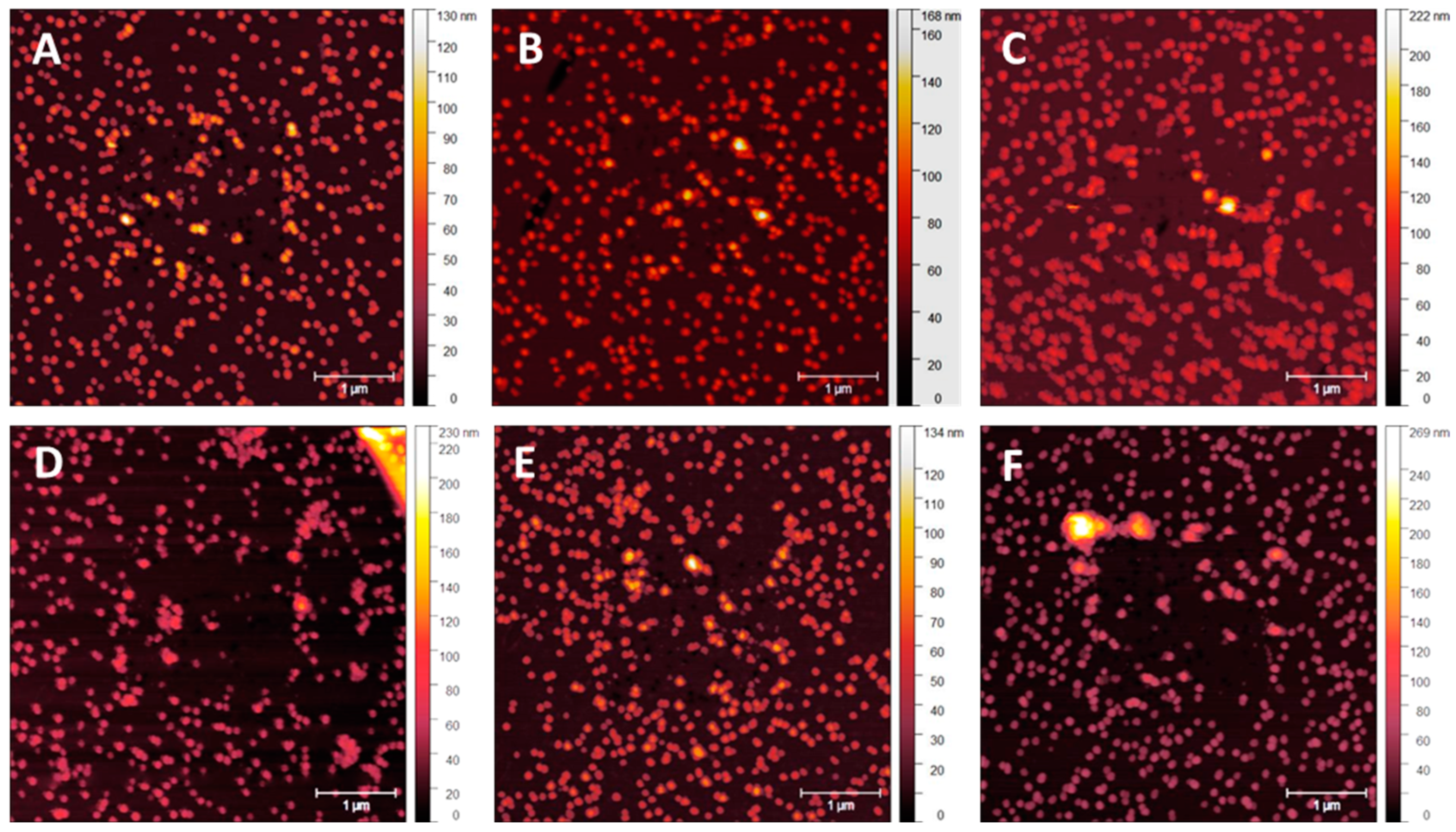 Nanomaterials 14 01475 g011 Nanomaterials 14 01475 g011