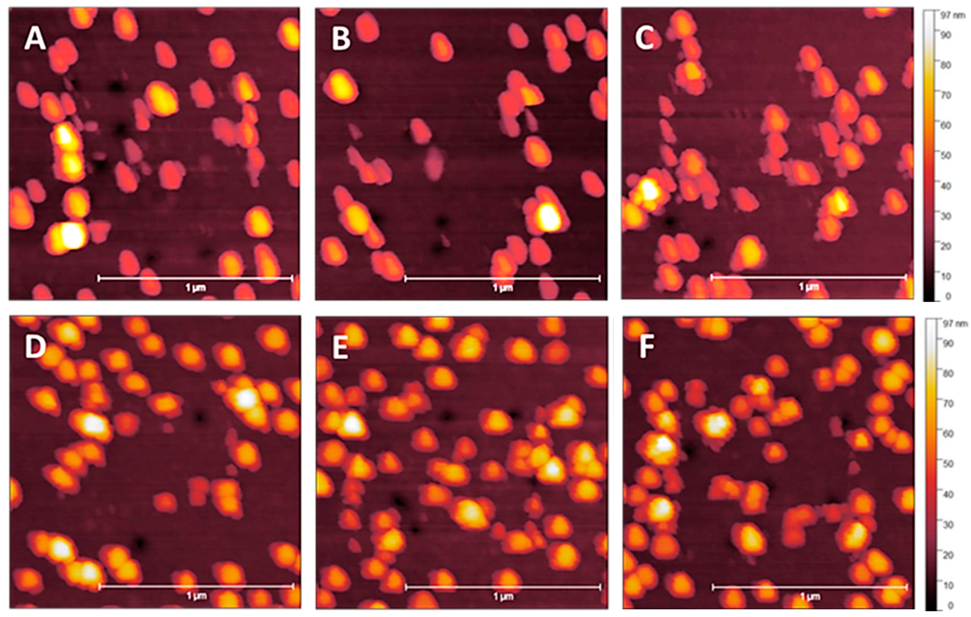 Nanomaterials 14 01475 g012 Nanomaterials 14 01475 g012