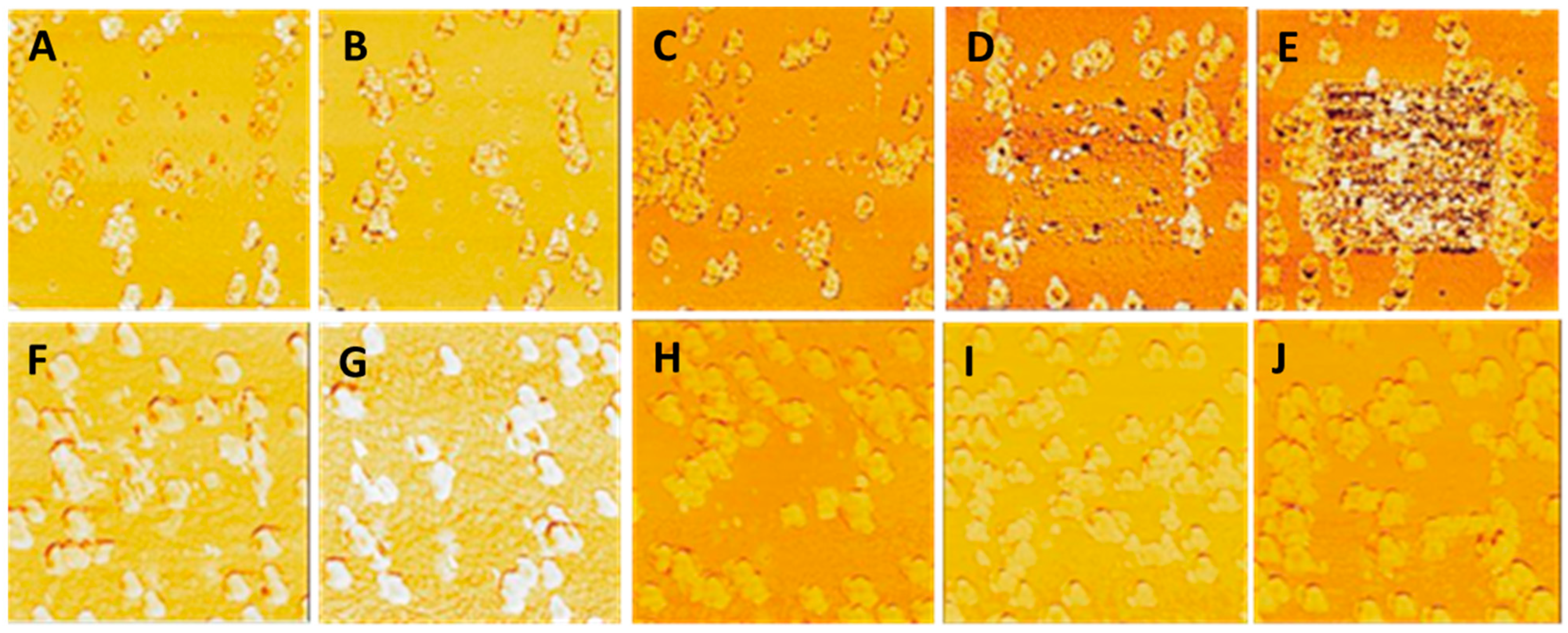 Nanomaterials 14 01475 g014 Nanomaterials 14 01475 g014