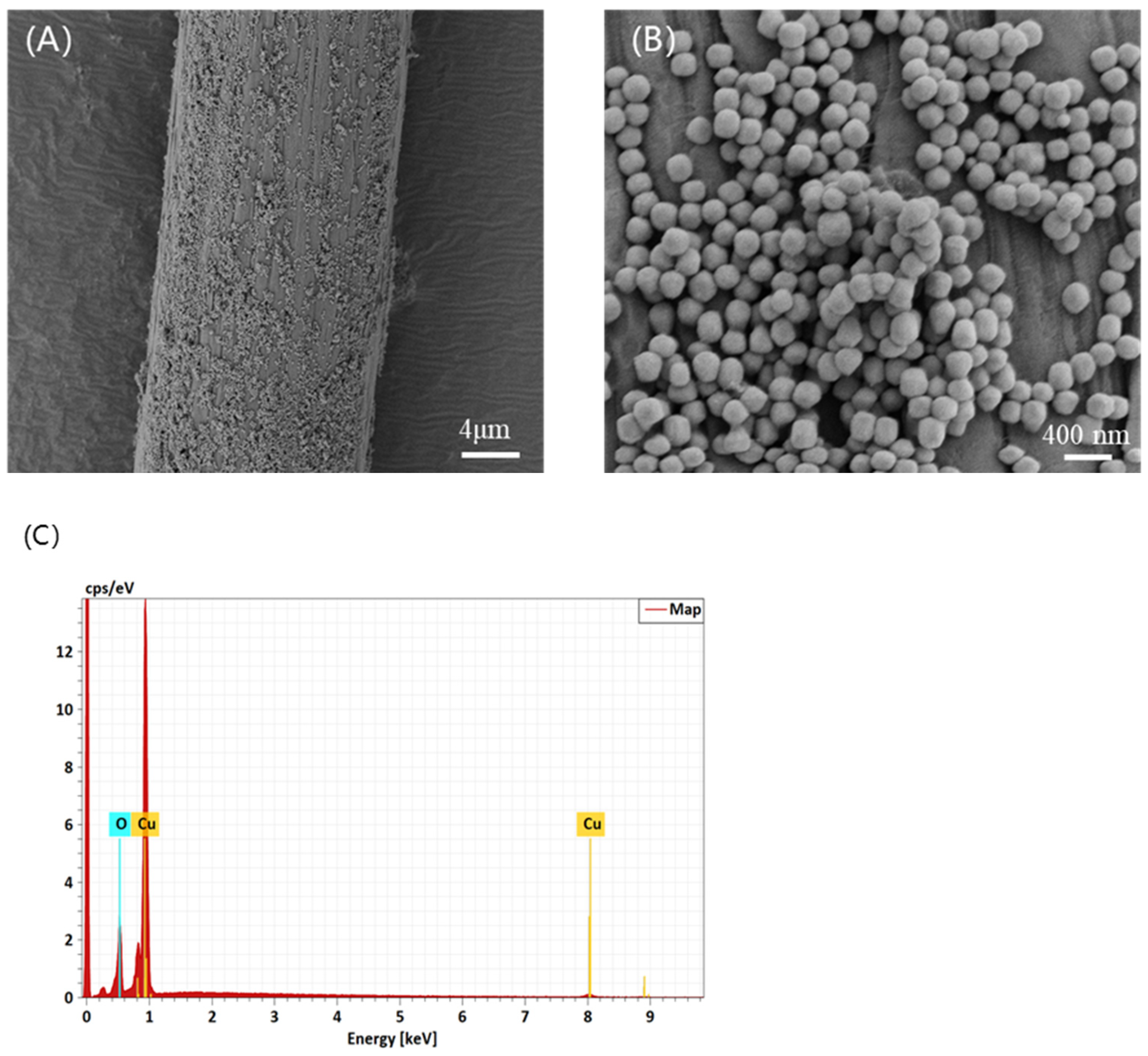 Nanomaterials 14 01478 g003 Nanomaterials 14 01478 g003