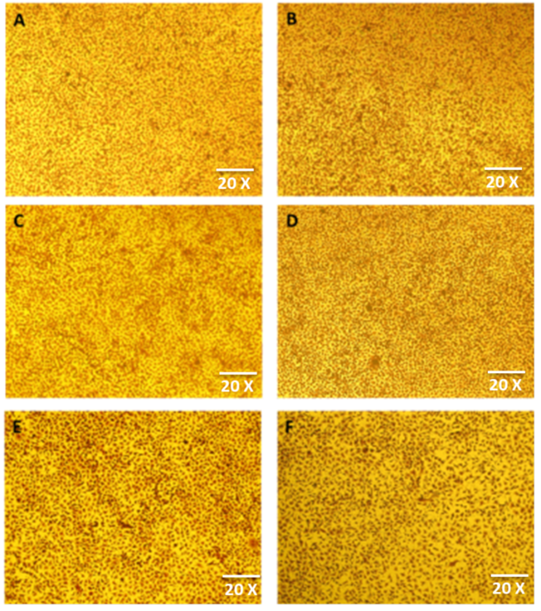 Nanomaterials 14 01485 g009