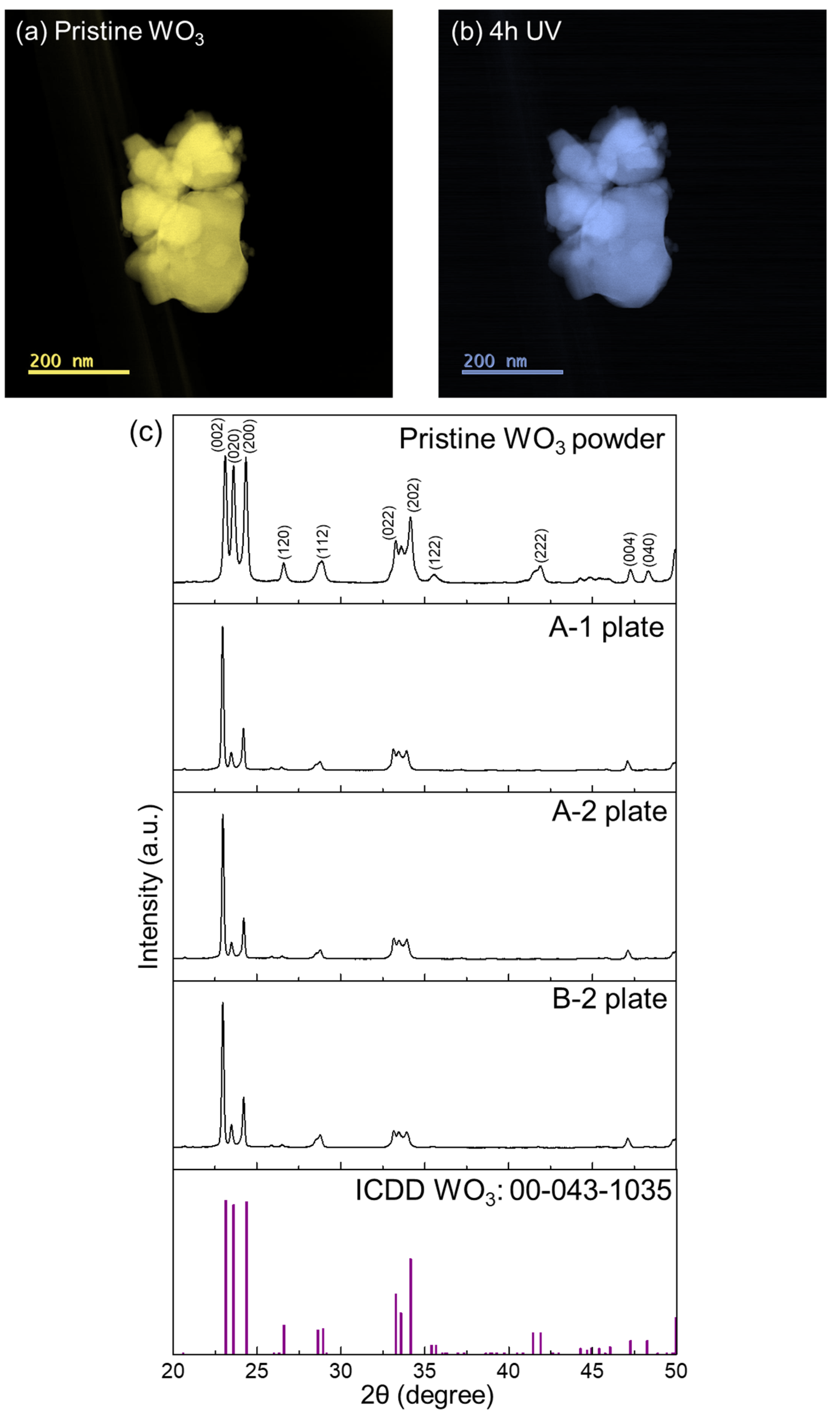 Nanomaterials 14 01486 g001