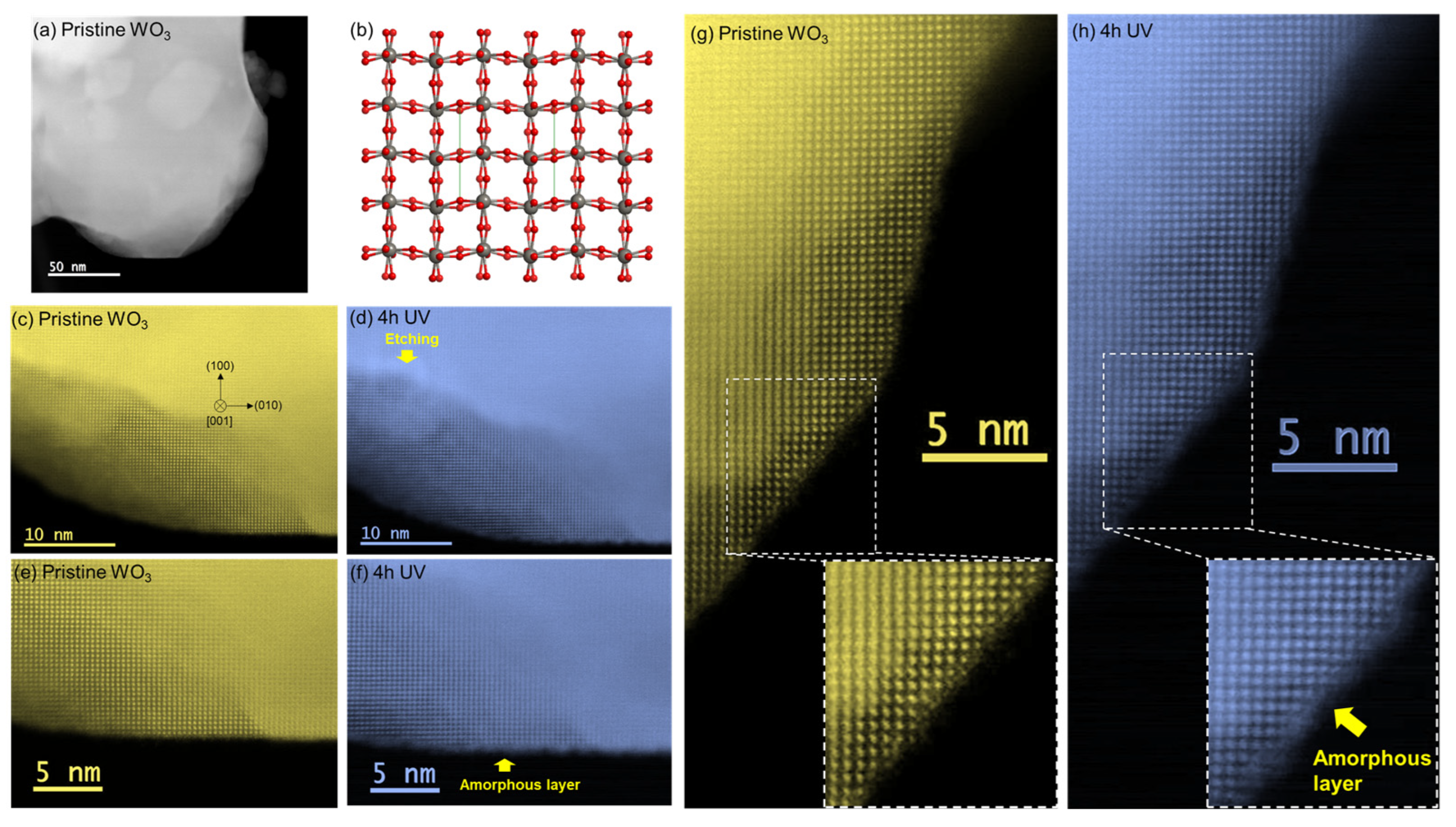 Nanomaterials 14 01486 g002