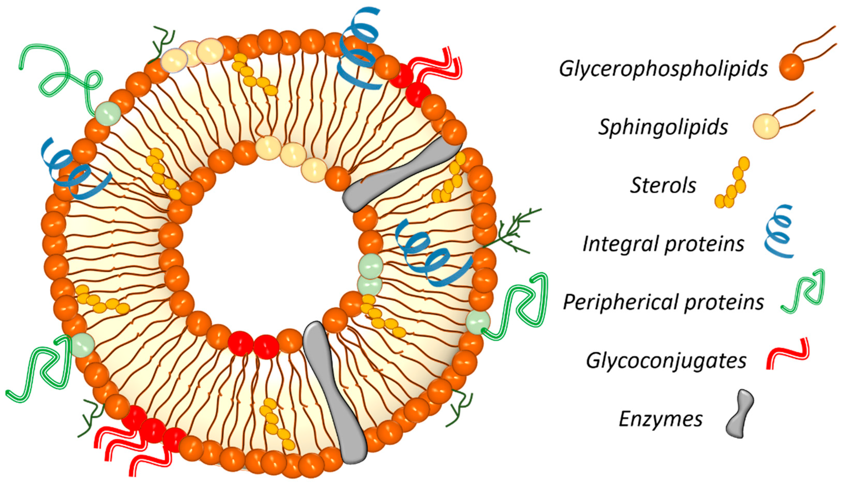 Nanomaterials 14 01489 g002 Nanomaterials 14 01489 g002
