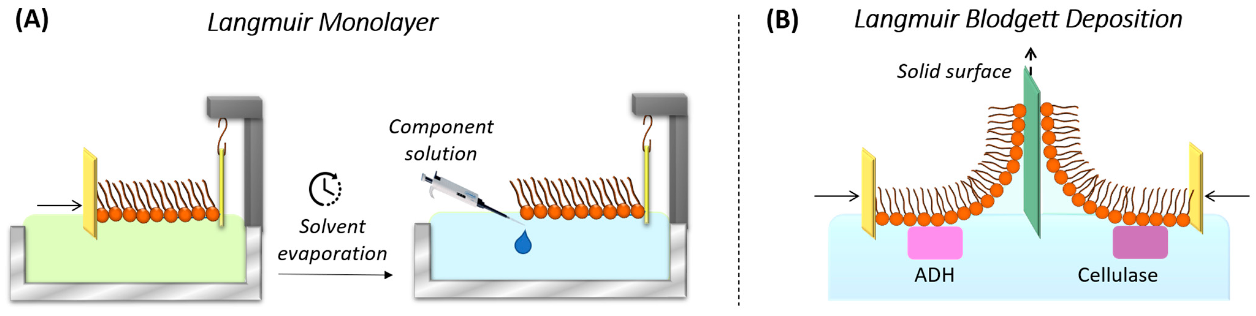 Nanomaterials 14 01489 g006 Nanomaterials 14 01489 g006