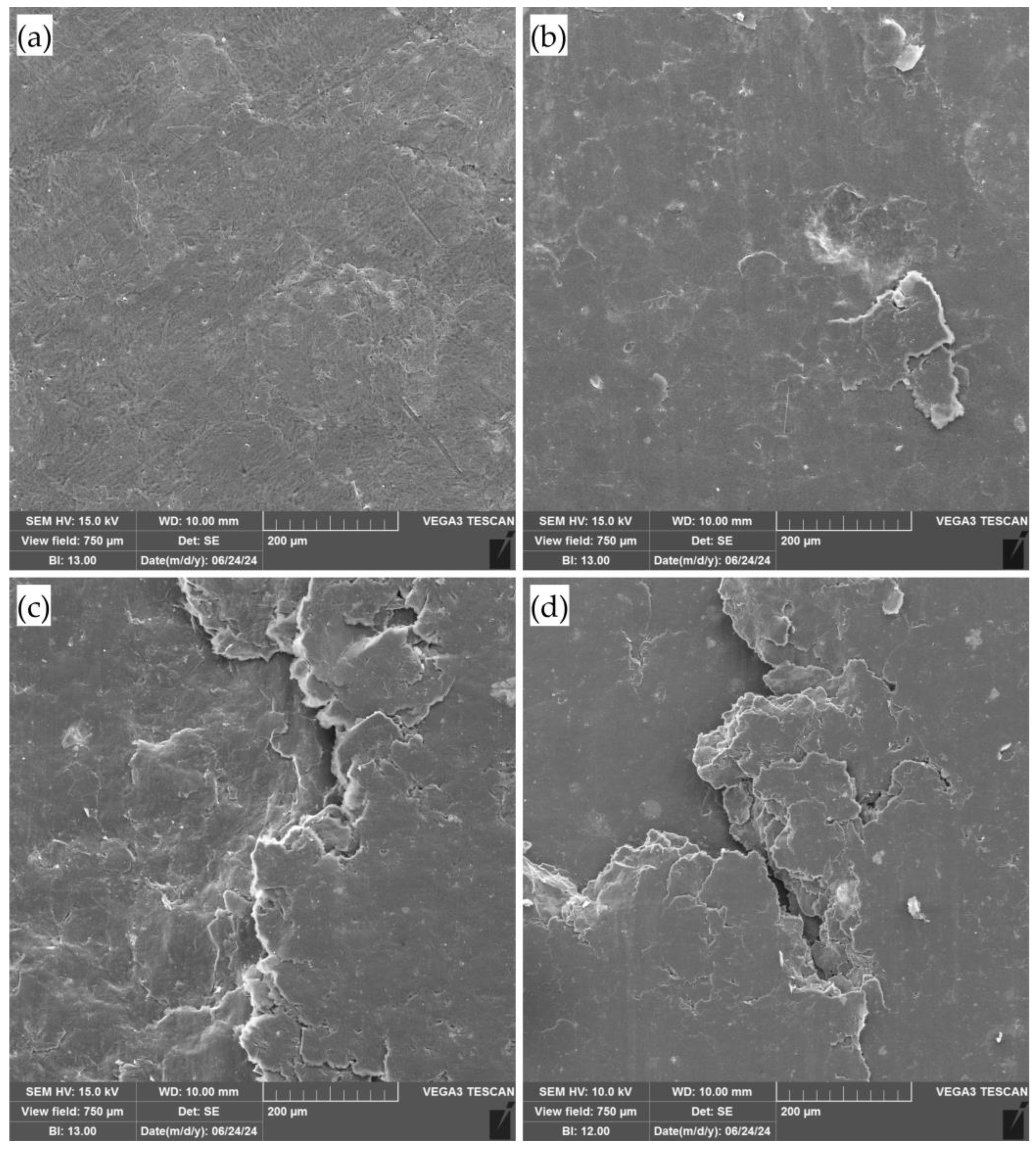 Nanomaterials 14 01499 g010