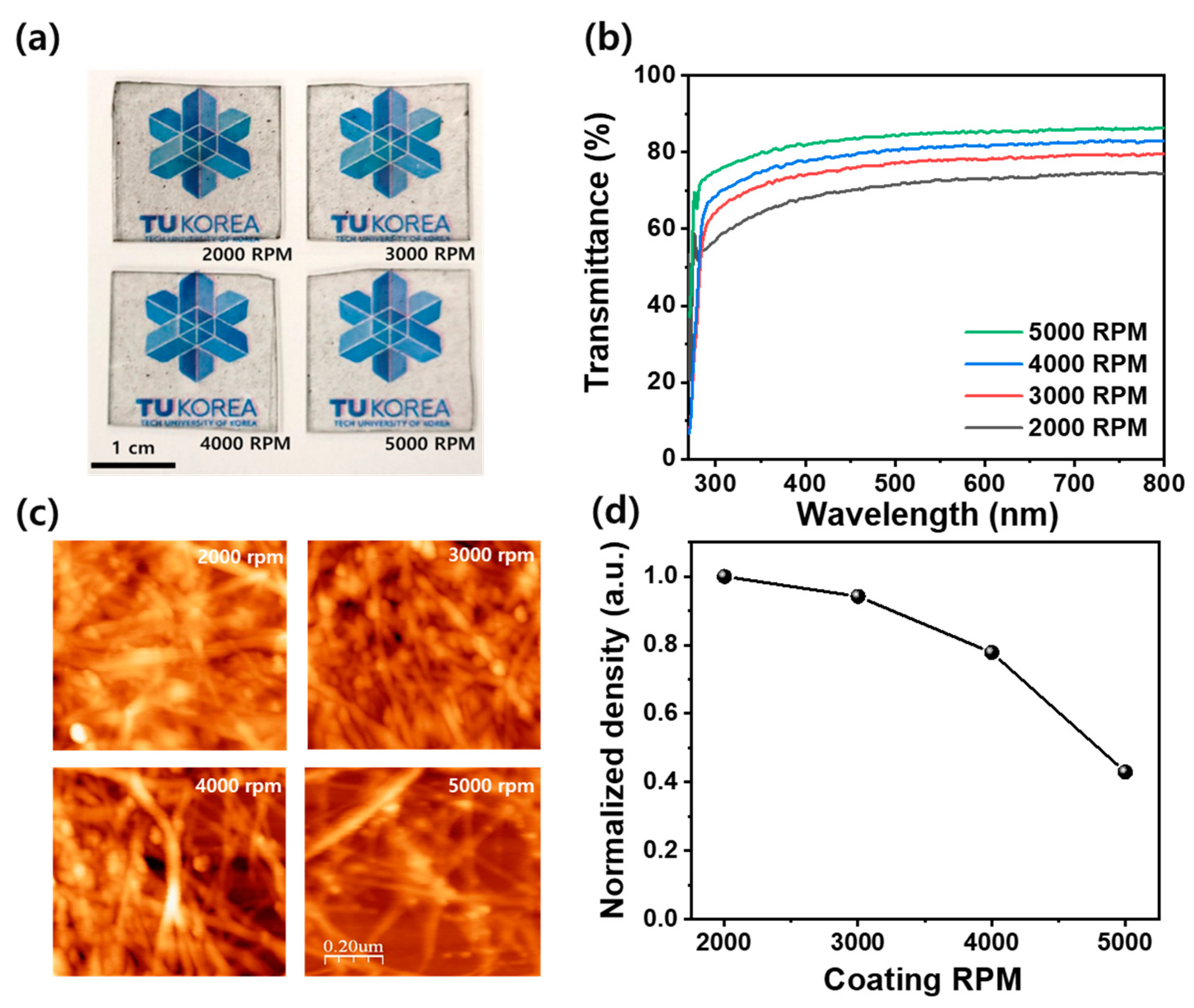 Nanomaterials 14 01501 g001