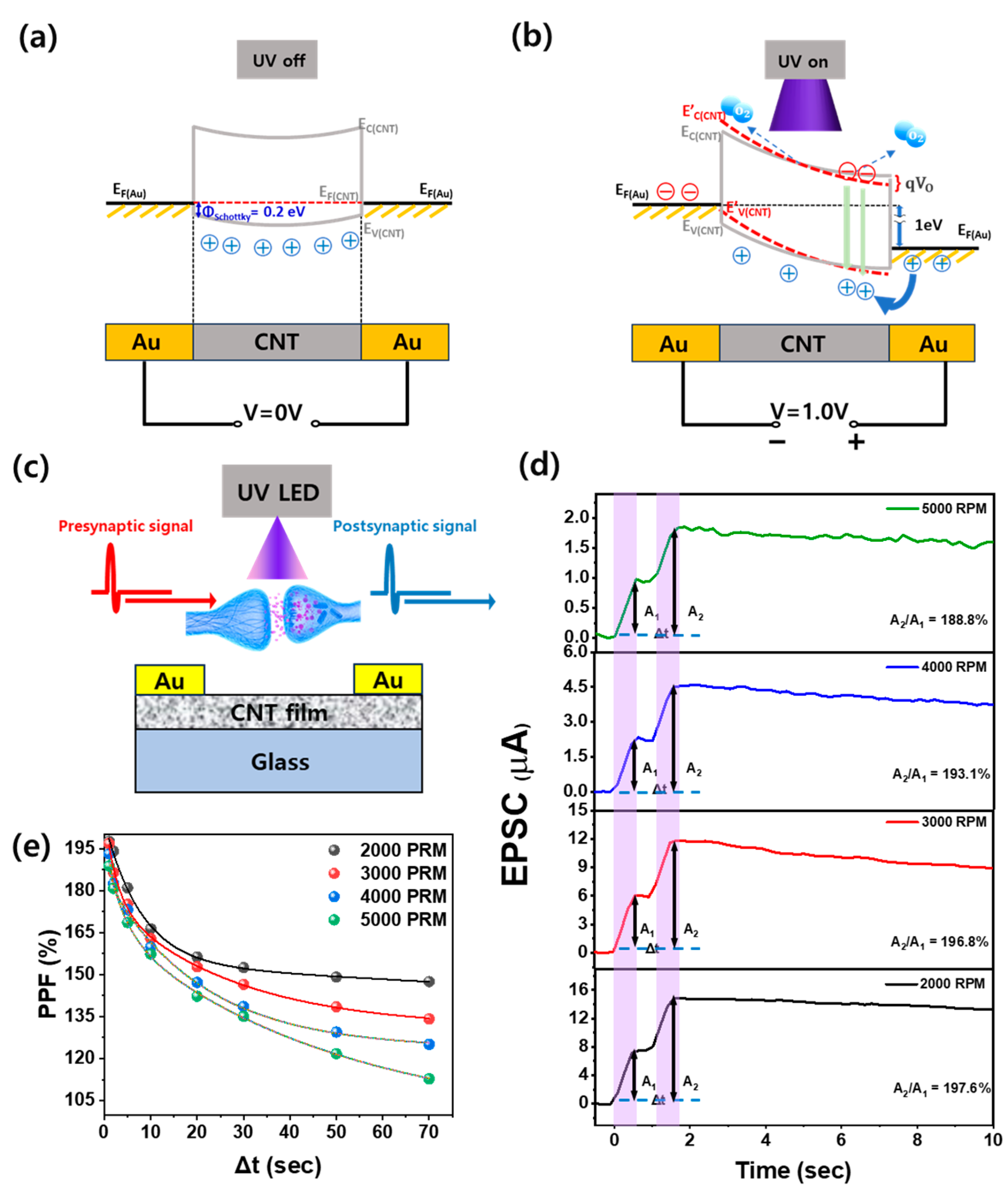 Nanomaterials 14 01501 g004