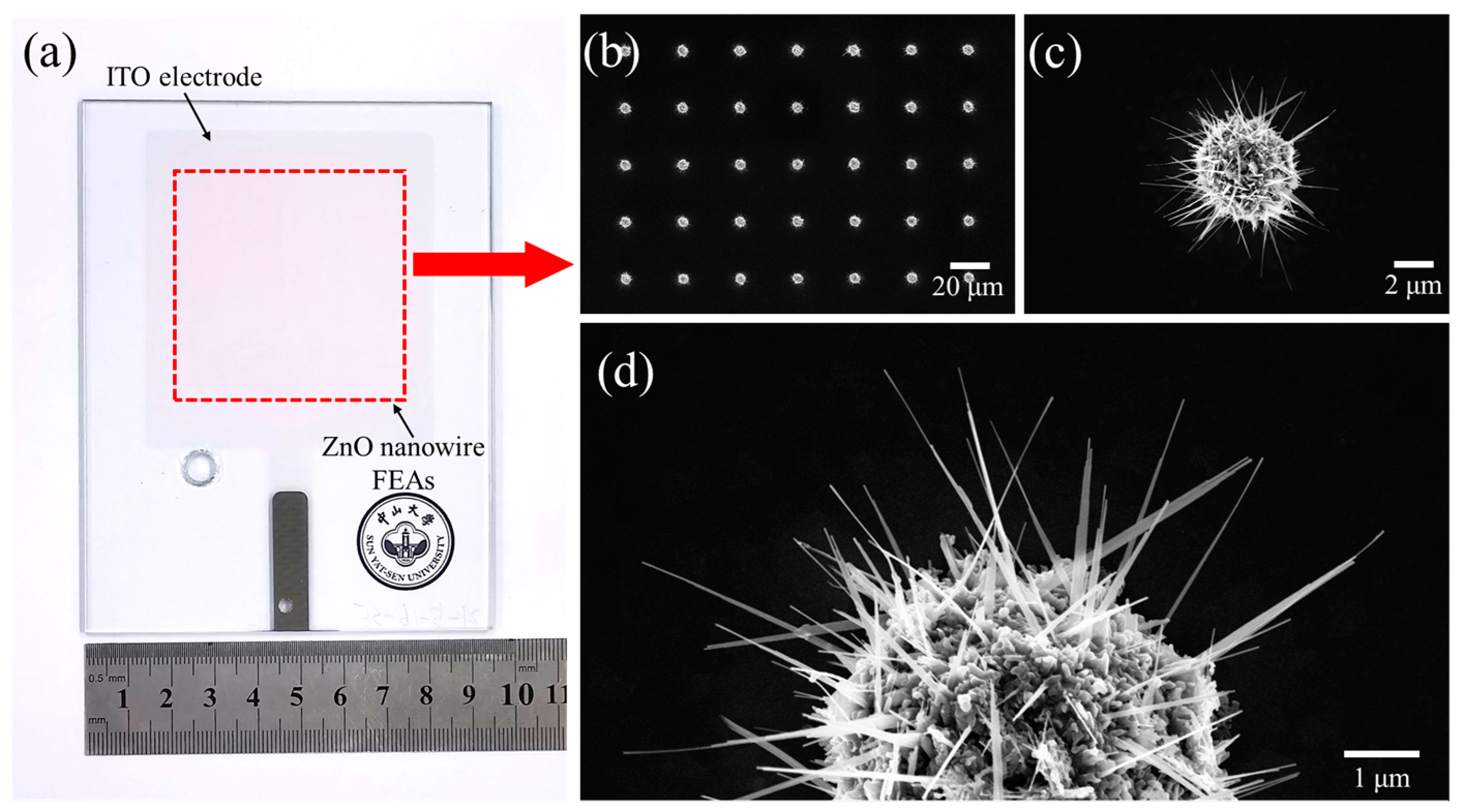 Nanomaterials 14 01504 g004