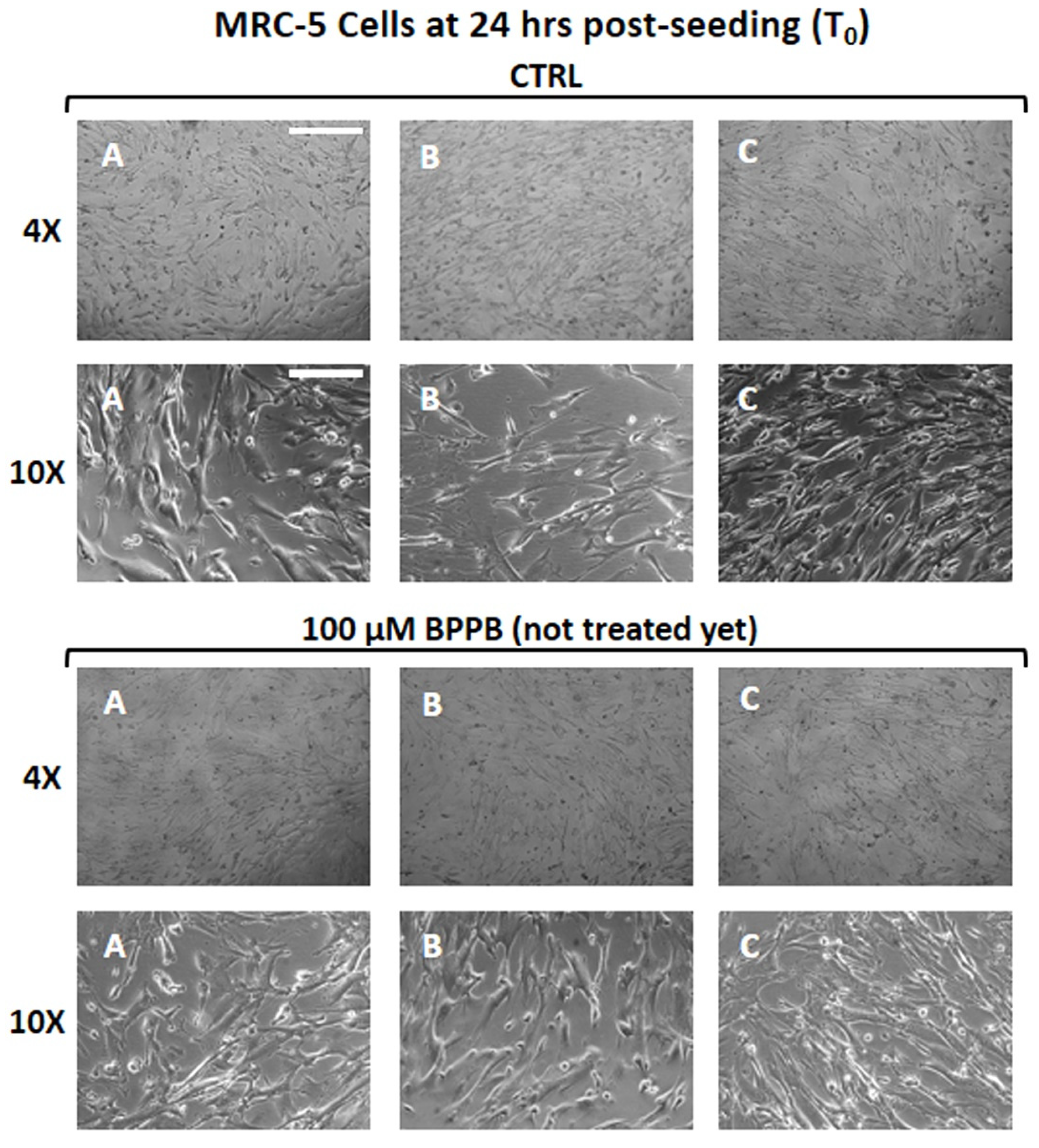 Nanomaterials 14 01505 g006 Nanomaterials 14 01505 g006