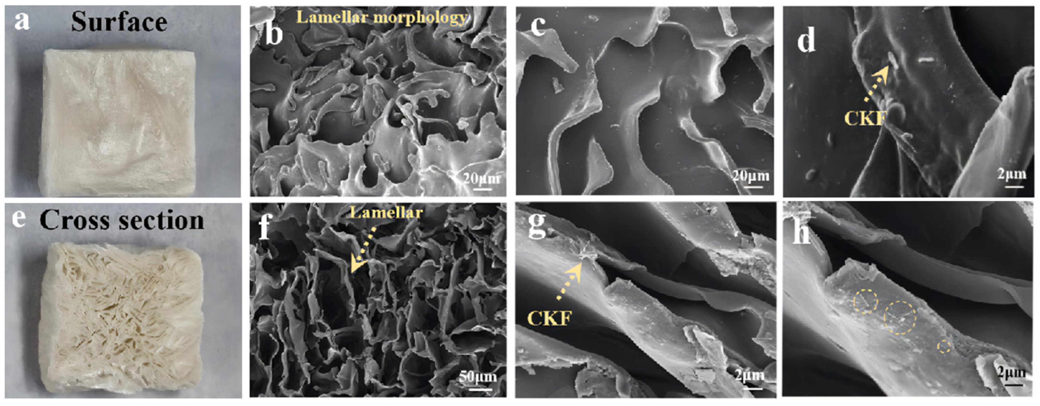 Nanomaterials 14 01510 g003