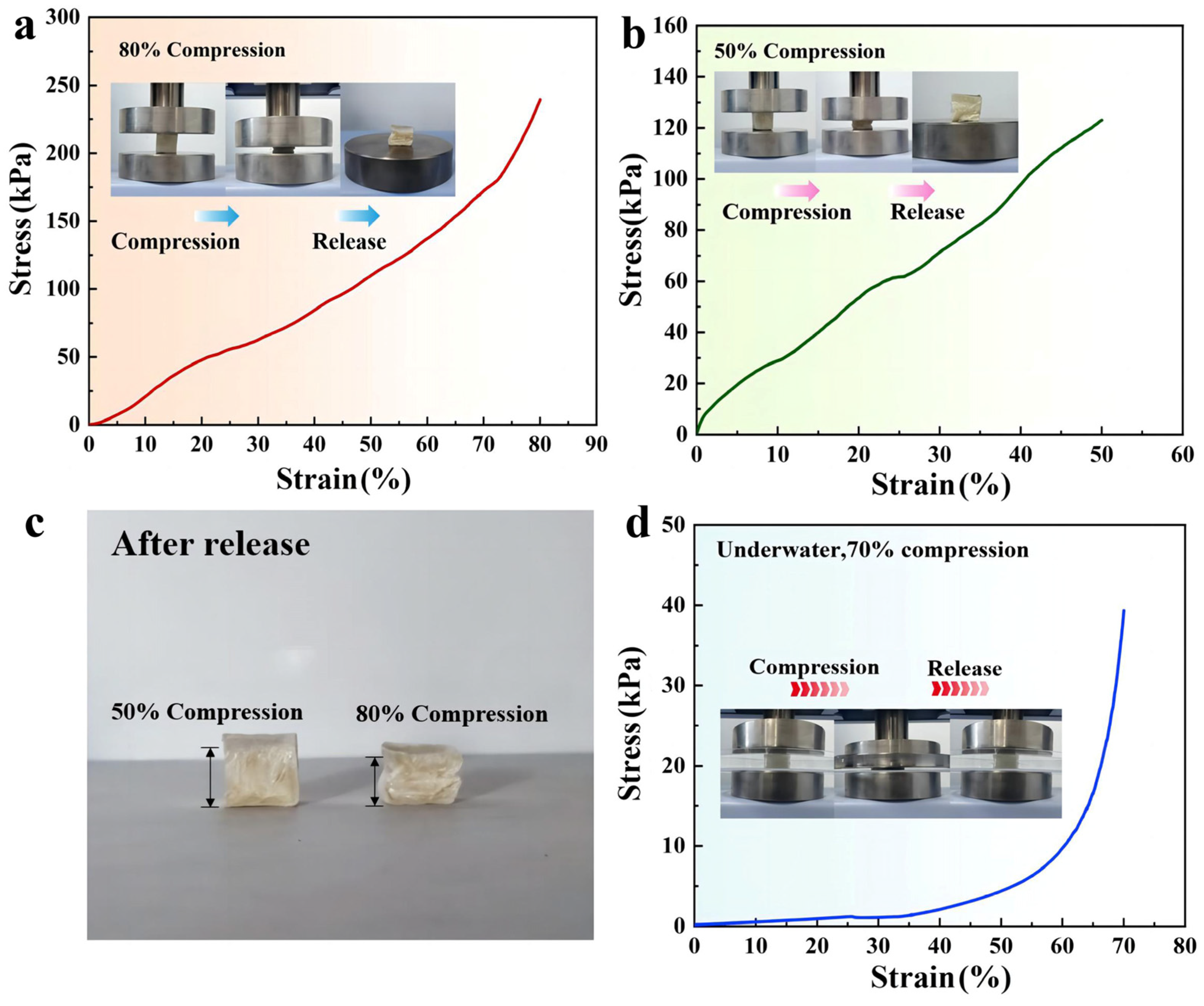 Nanomaterials 14 01510 g005