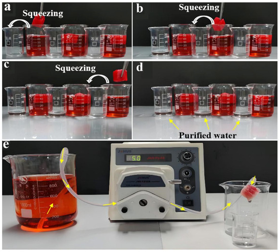 Assembly of Chitosan/Caragana Fibers to Construct an
