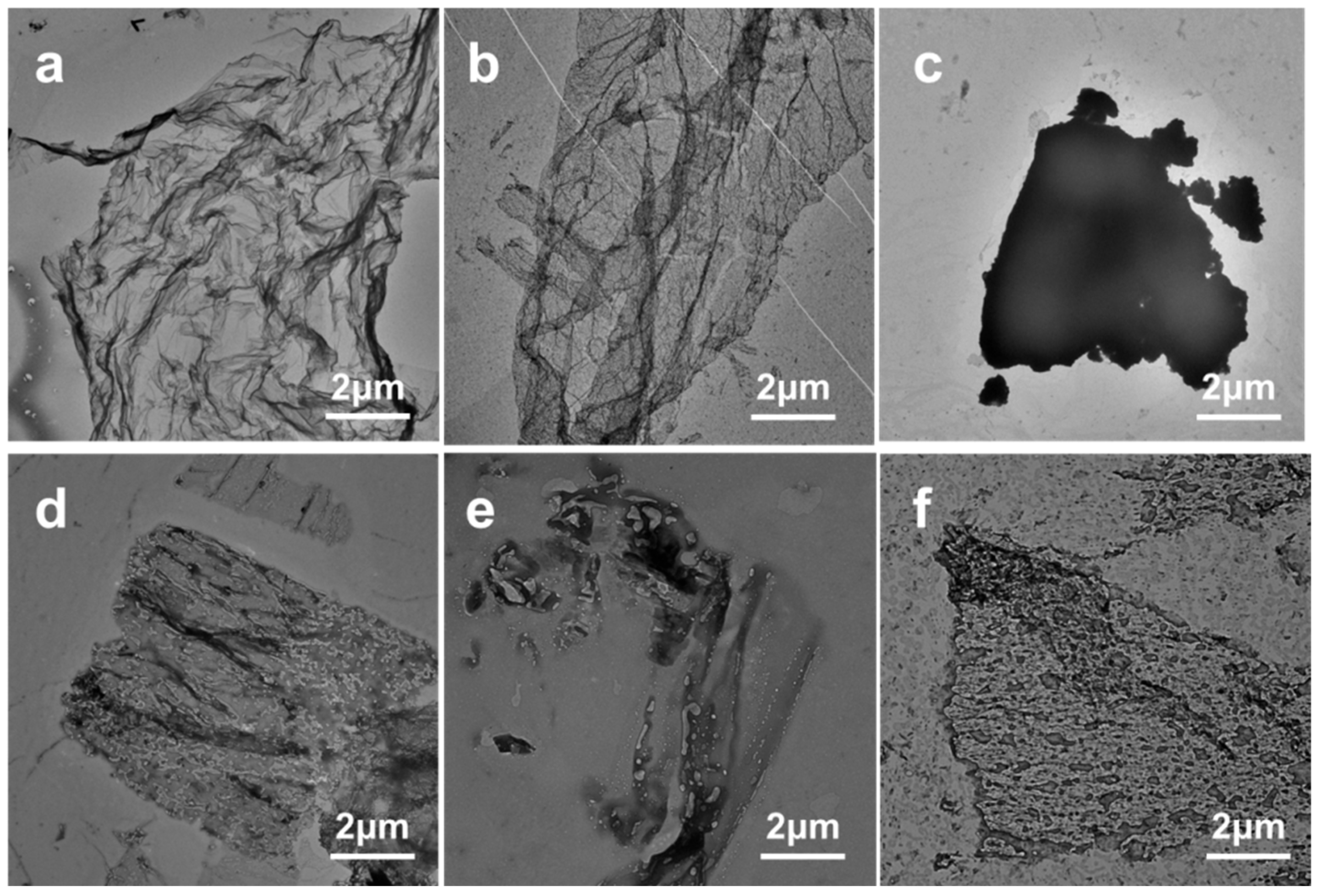 Nanomaterials 14 01514 g004