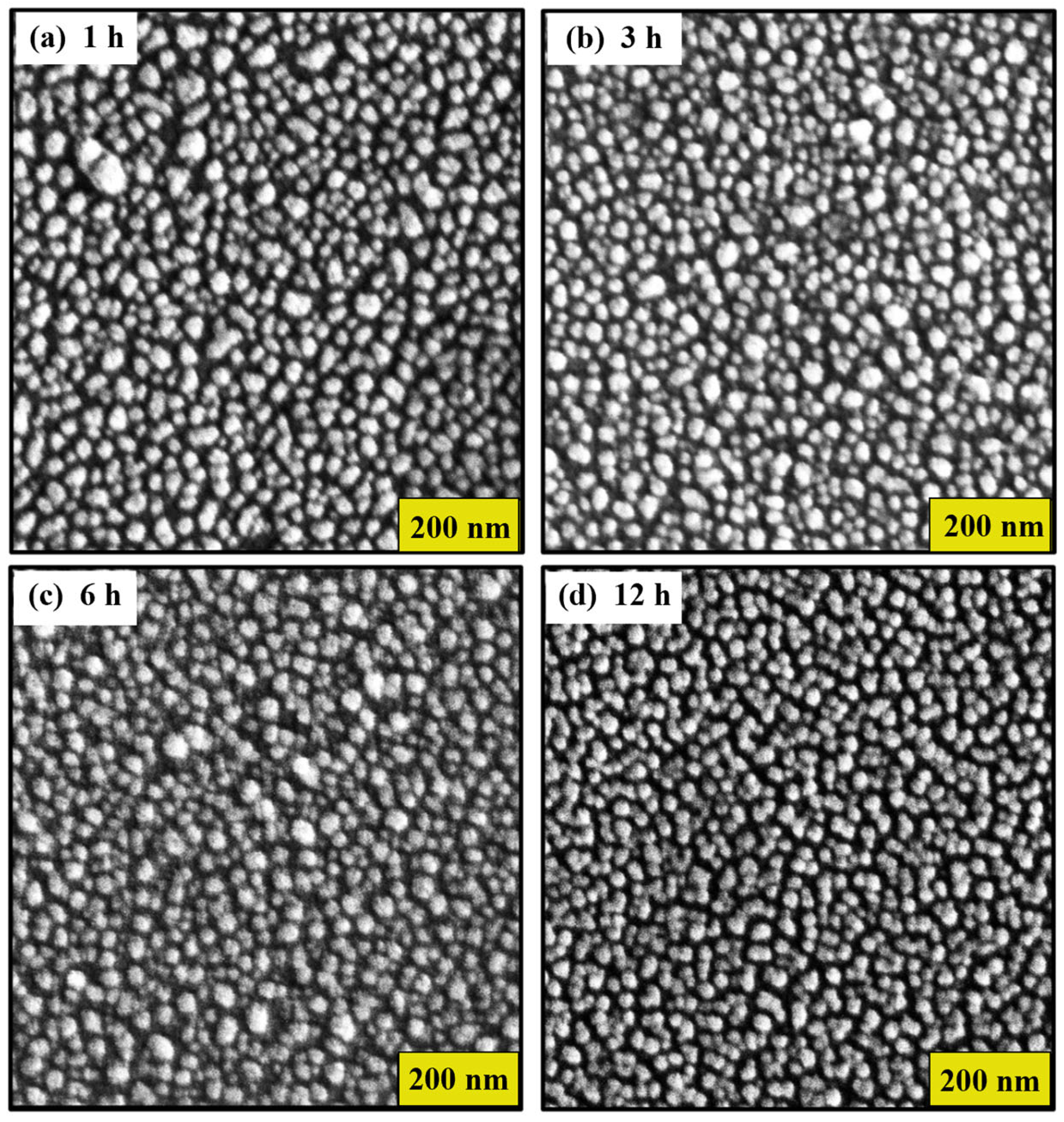 Nanomaterials 14 01525 g001