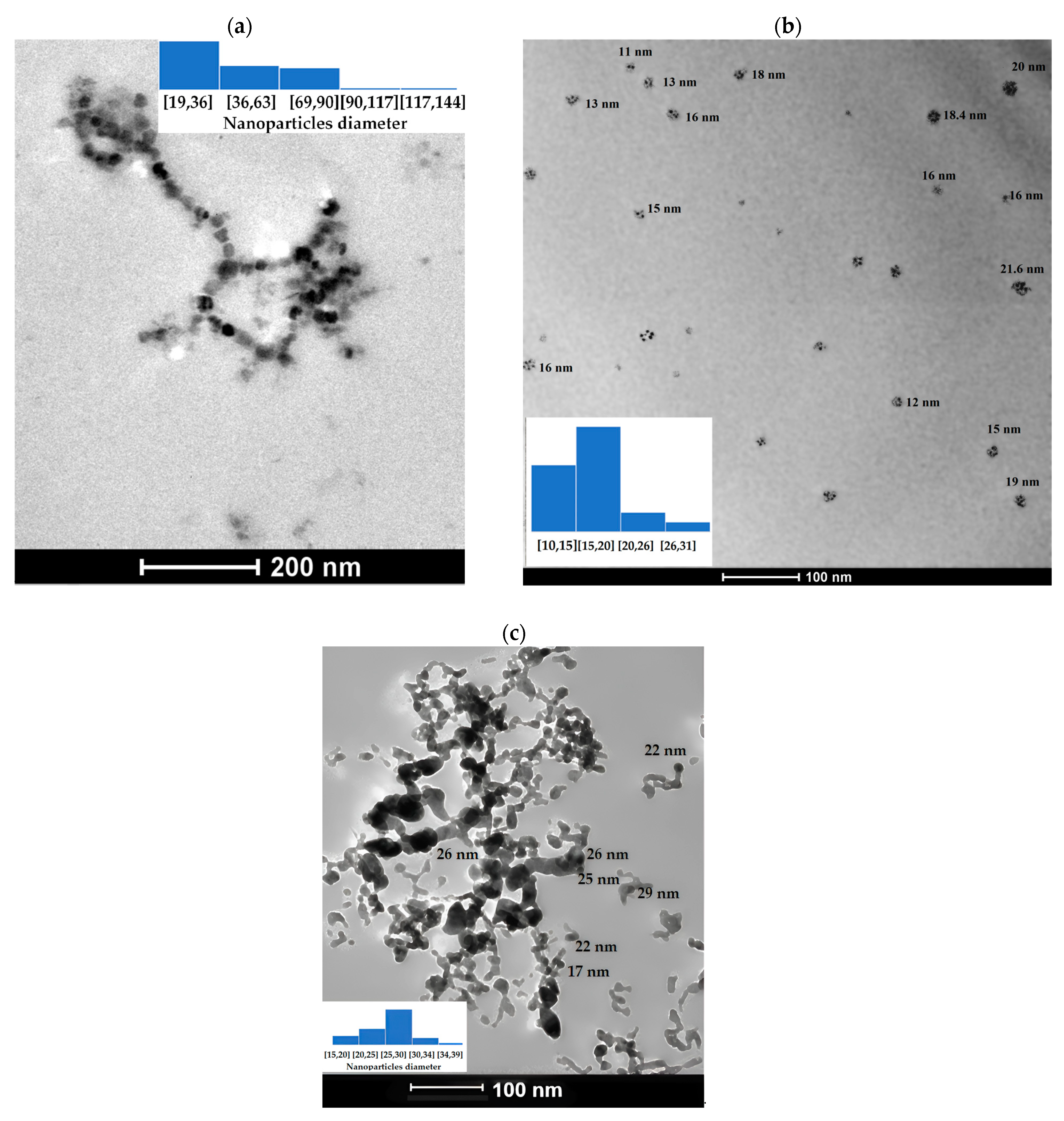 Nanomaterials 14 01526 g004 Nanomaterials 14 01526 g004
