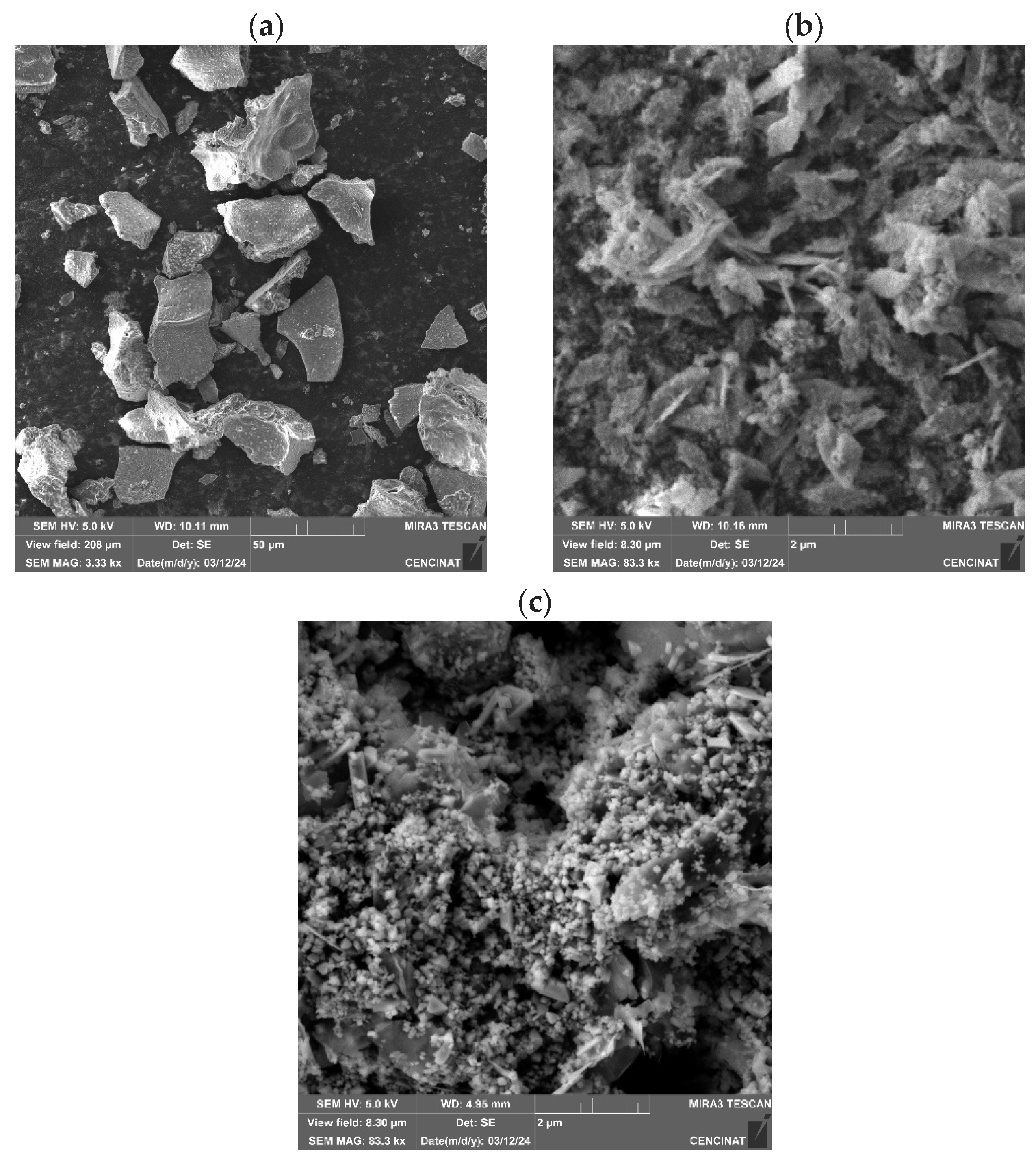 Nanomaterials 14 01526 g007 Nanomaterials 14 01526 g007