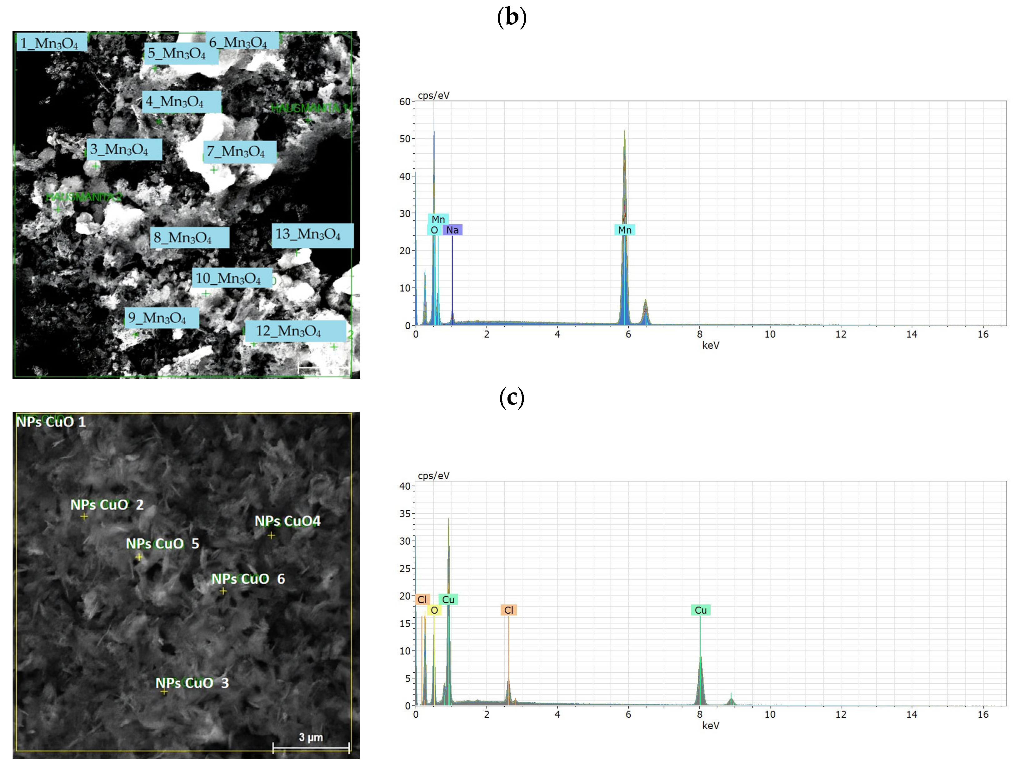 Nanomaterials 14 01526 g008b Nanomaterials 14 01526 g008b