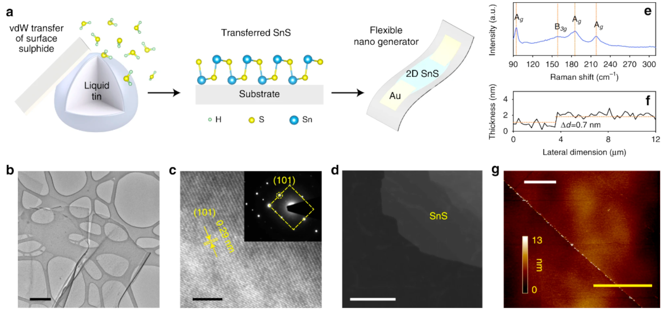 Nanomaterials 14 01530 g004