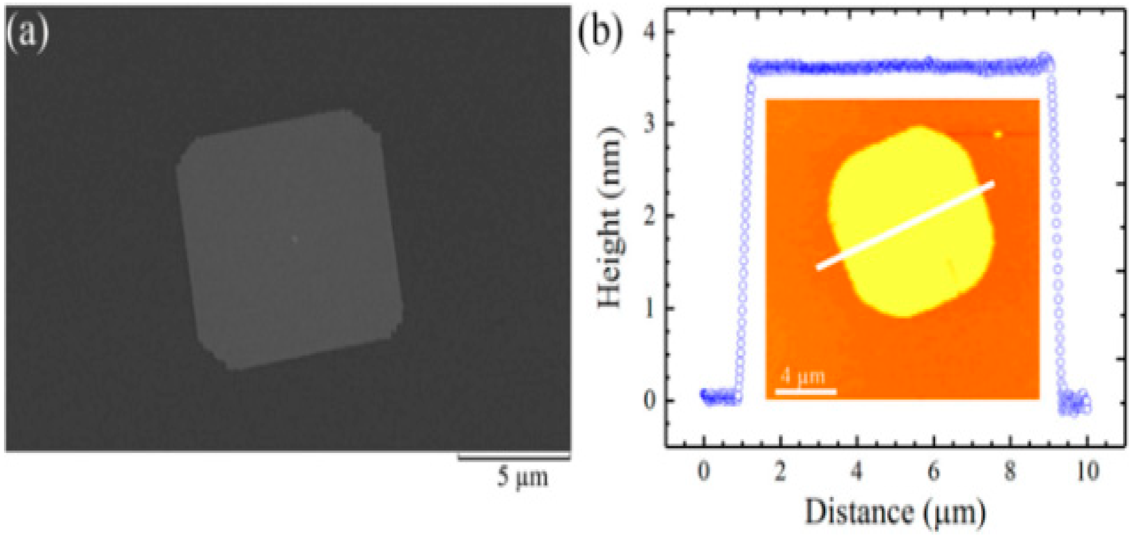 Nanomaterials 14 01530 g007