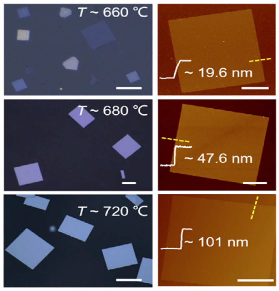Nanomaterials 14 01530 g010