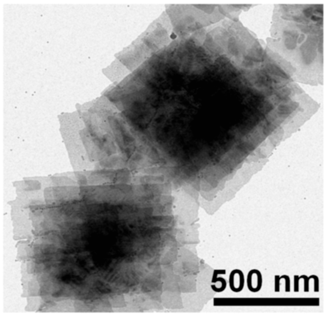 Nanomaterials 14 01530 g011
