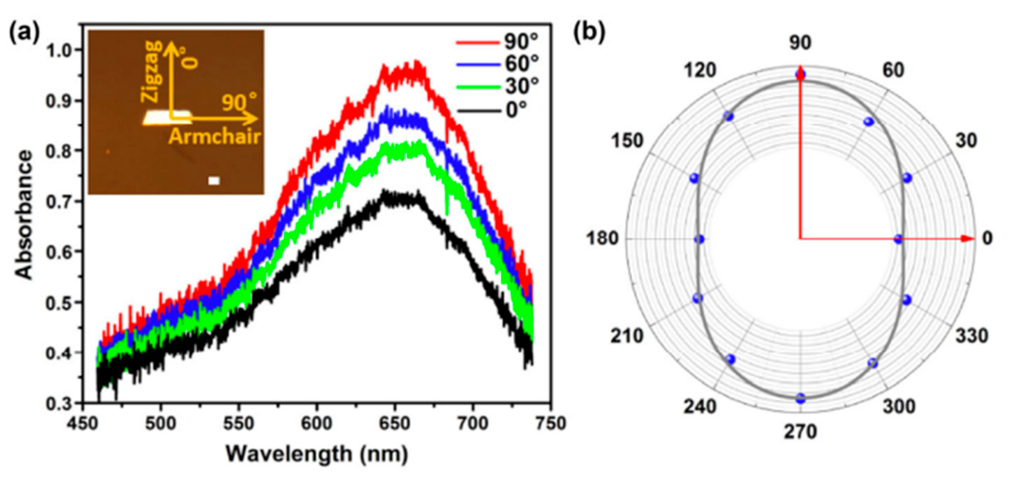 Nanomaterials 14 01530 g055