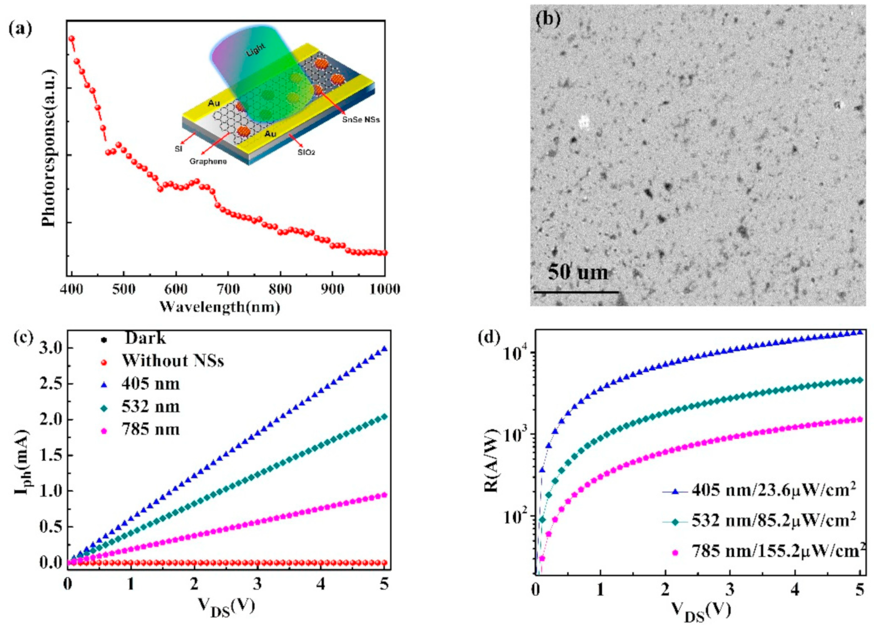 Nanomaterials 14 01530 g074