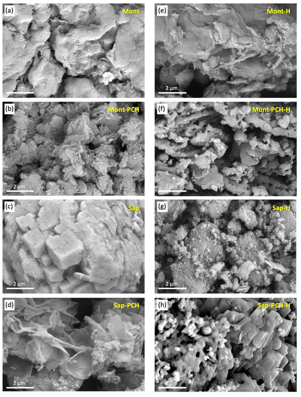 Nanomaterials 14 01532 g006