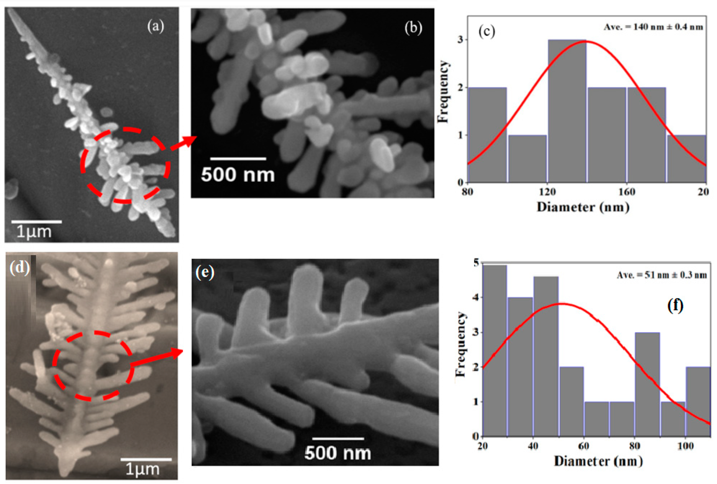 Nanomaterials 14 01534 g003