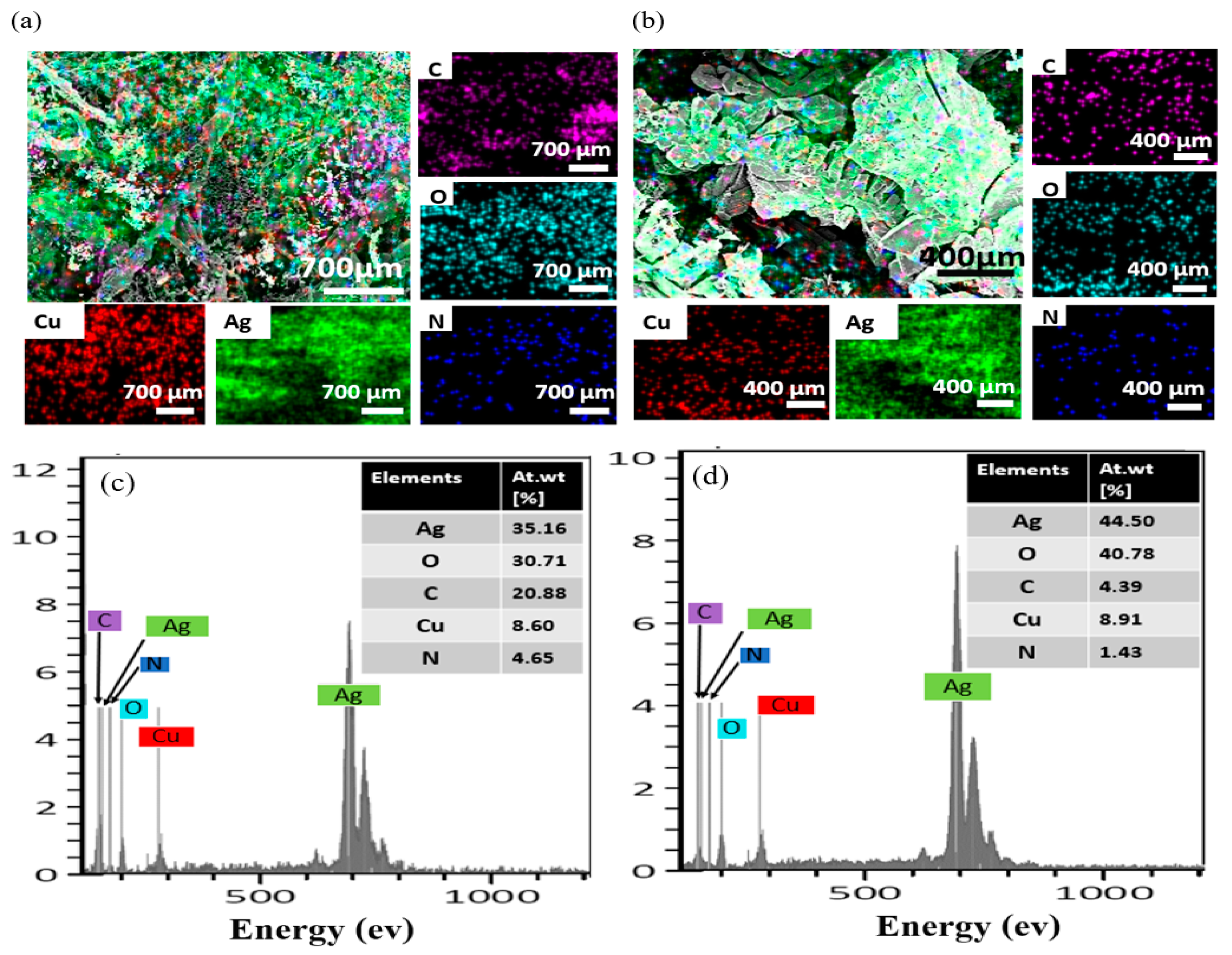 Nanomaterials 14 01534 g004