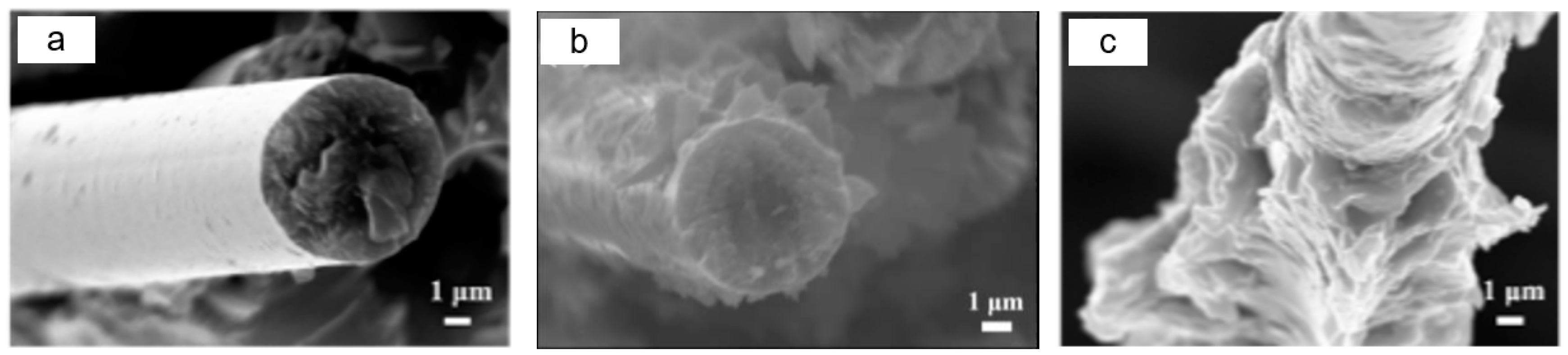 Nanomaterials 14 01537 g007