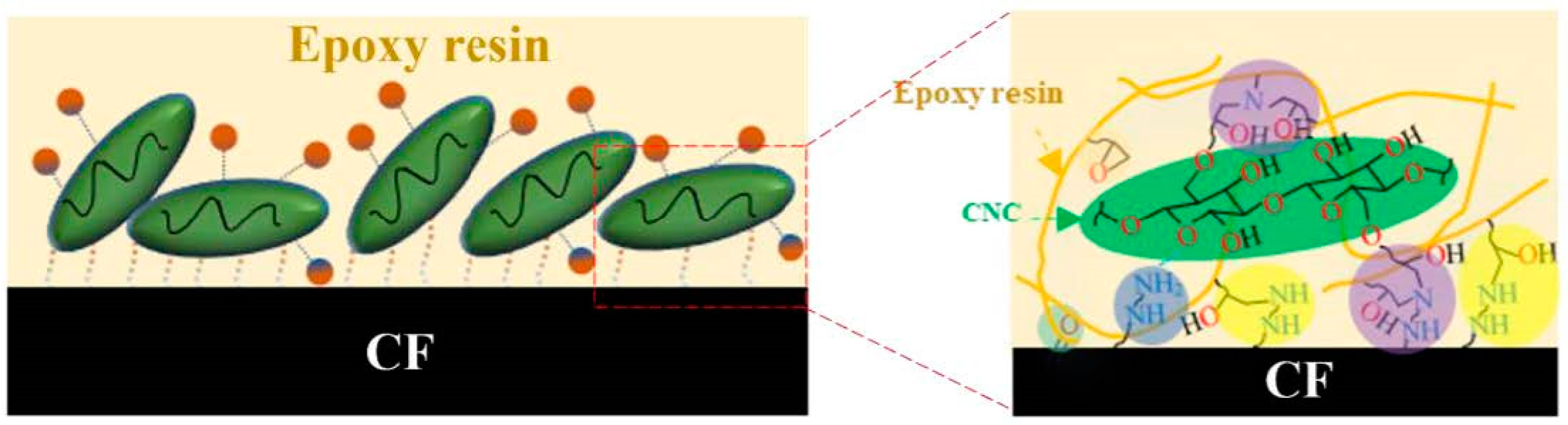 Nanomaterials 14 01537 g008