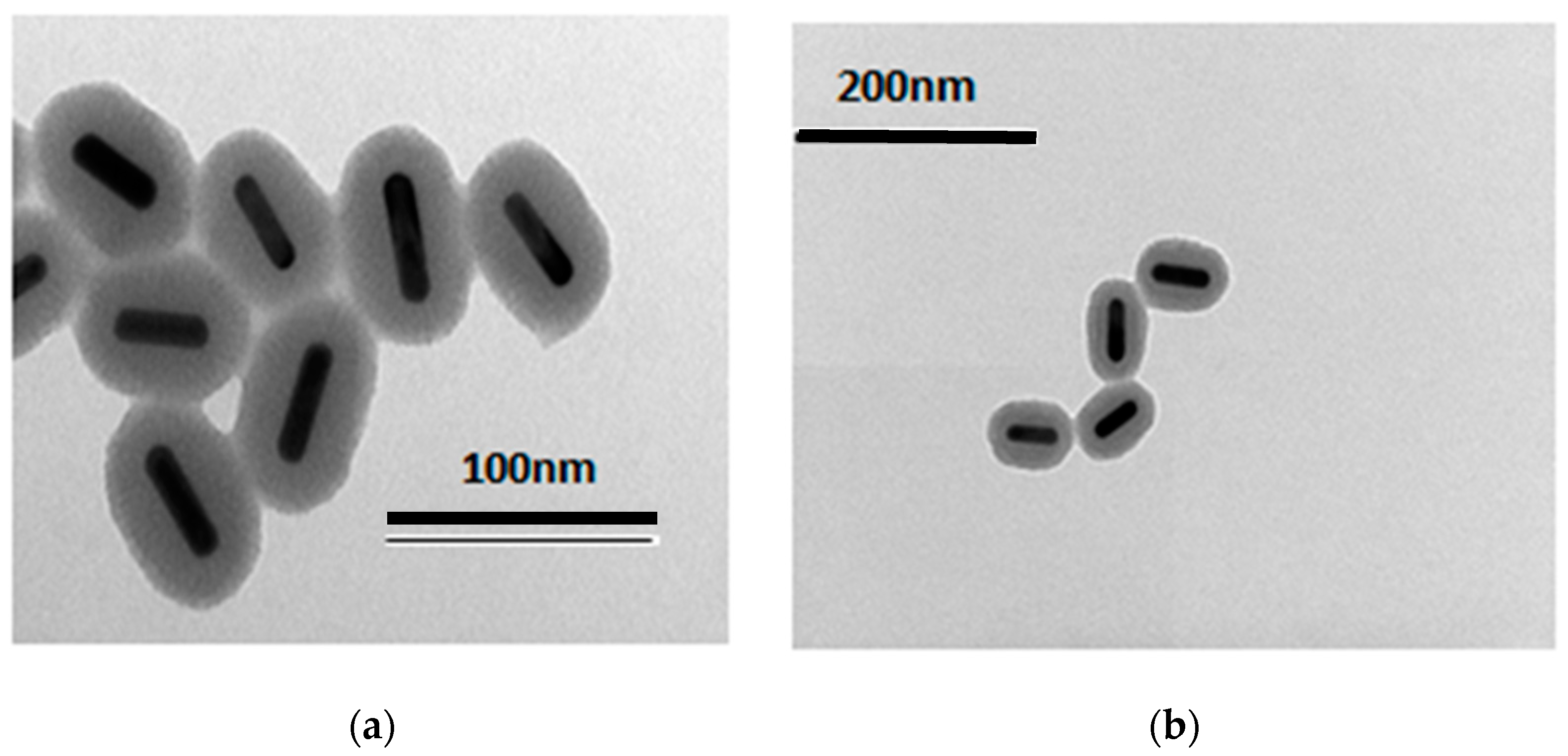 Nanomaterials 14 01543 g001