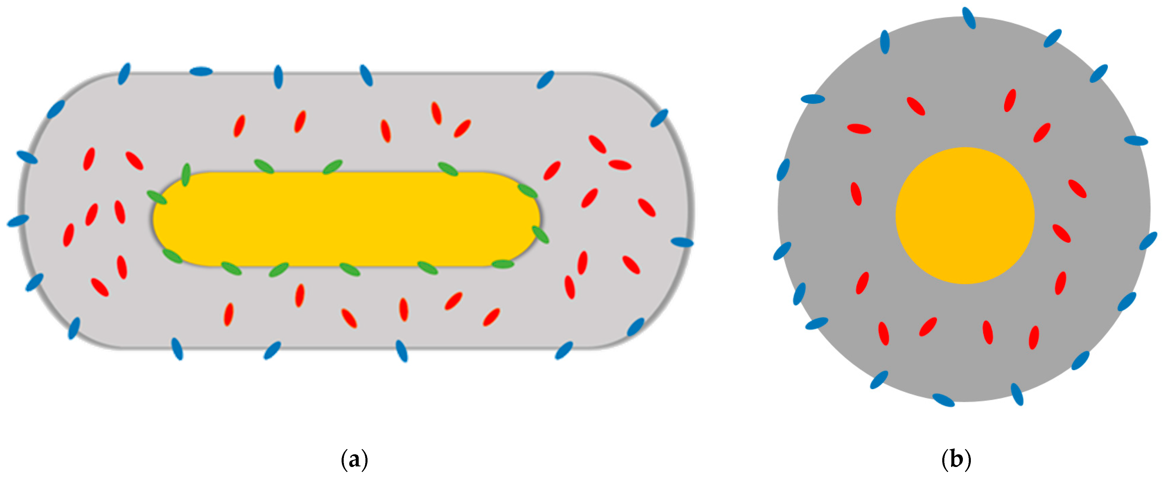 Nanomaterials 14 01543 g005