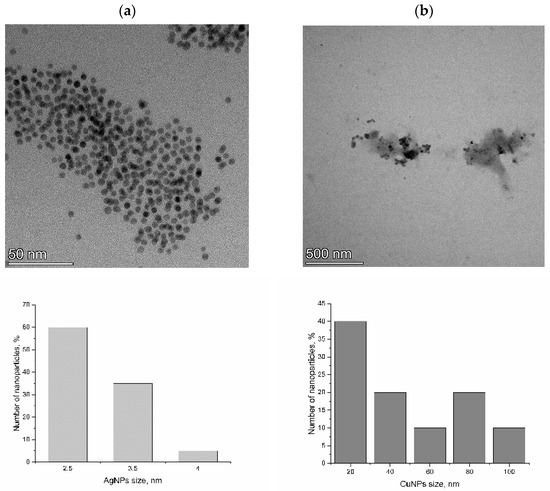 Evaluation of the Effects of High Silver and Copper