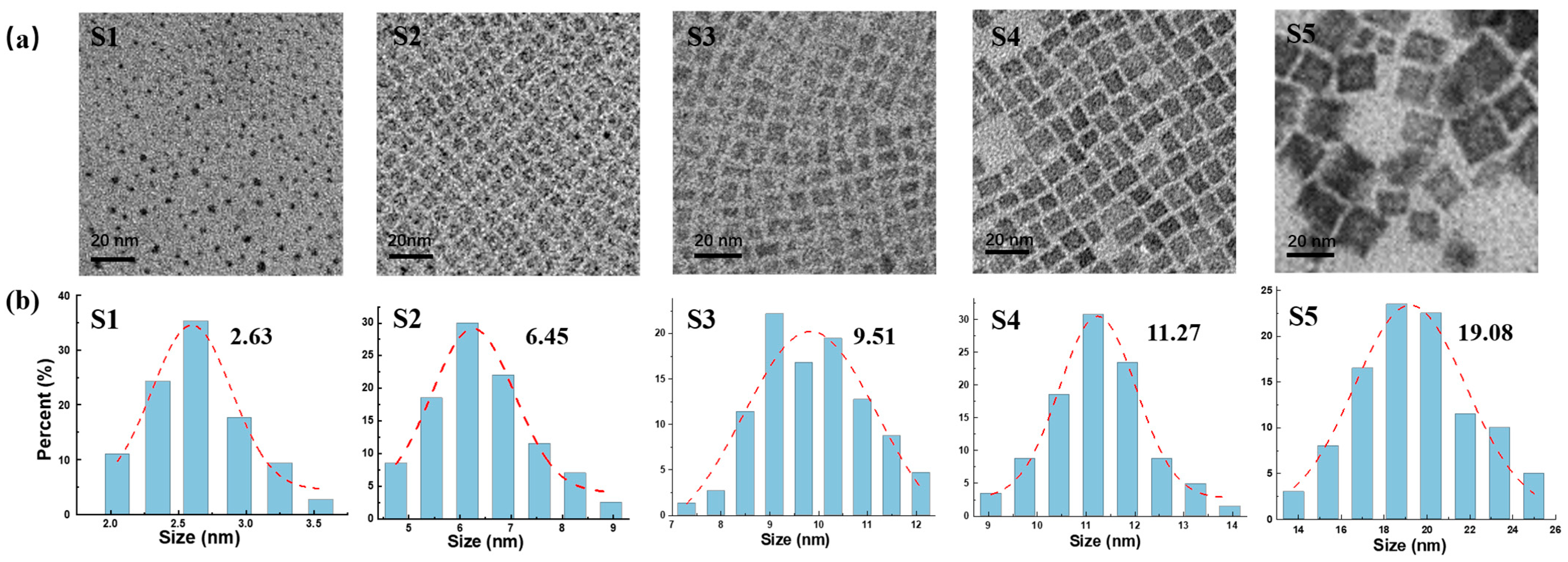 Nanomaterials 14 01546 g001