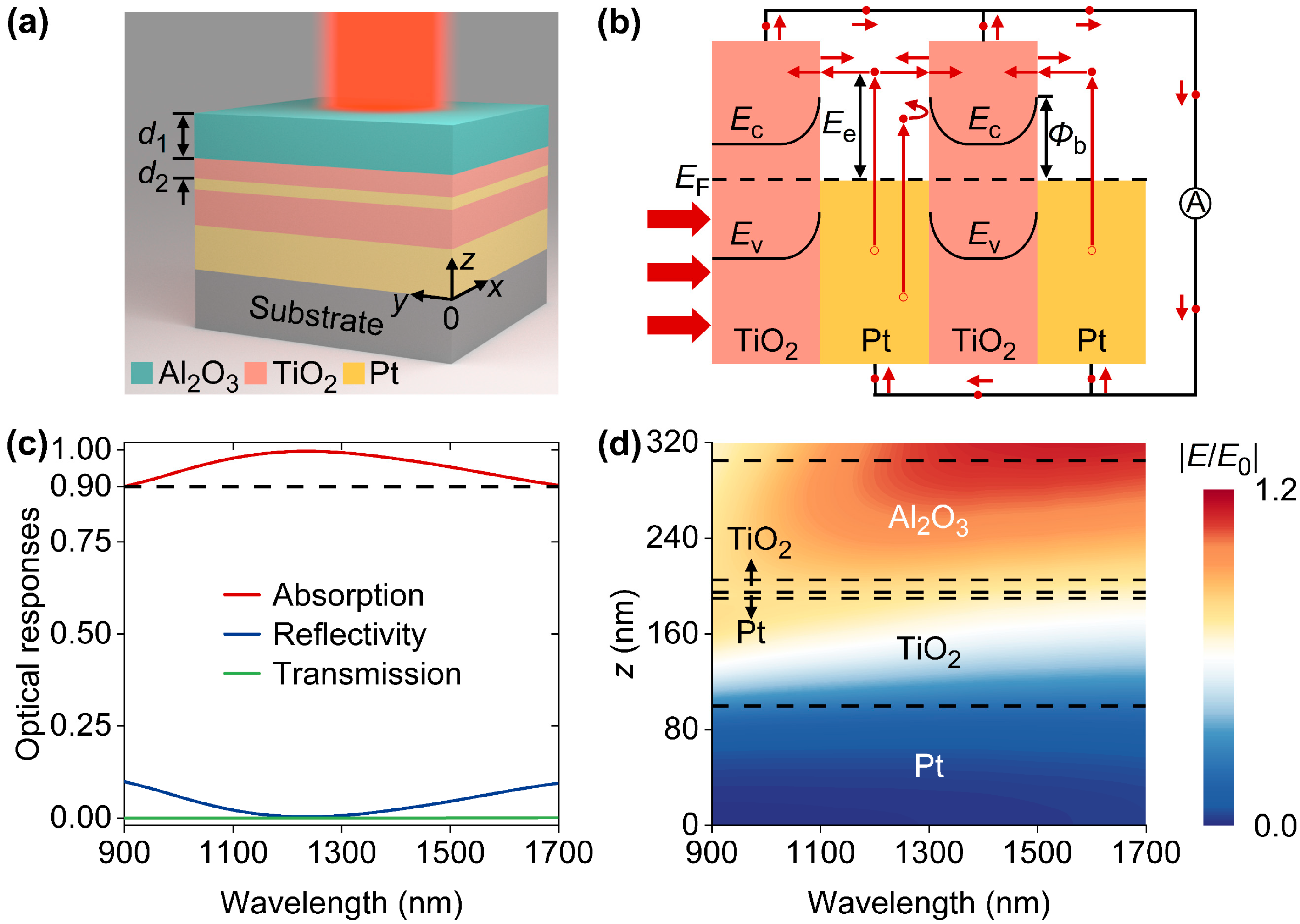 Nanomaterials 14 01552 g001