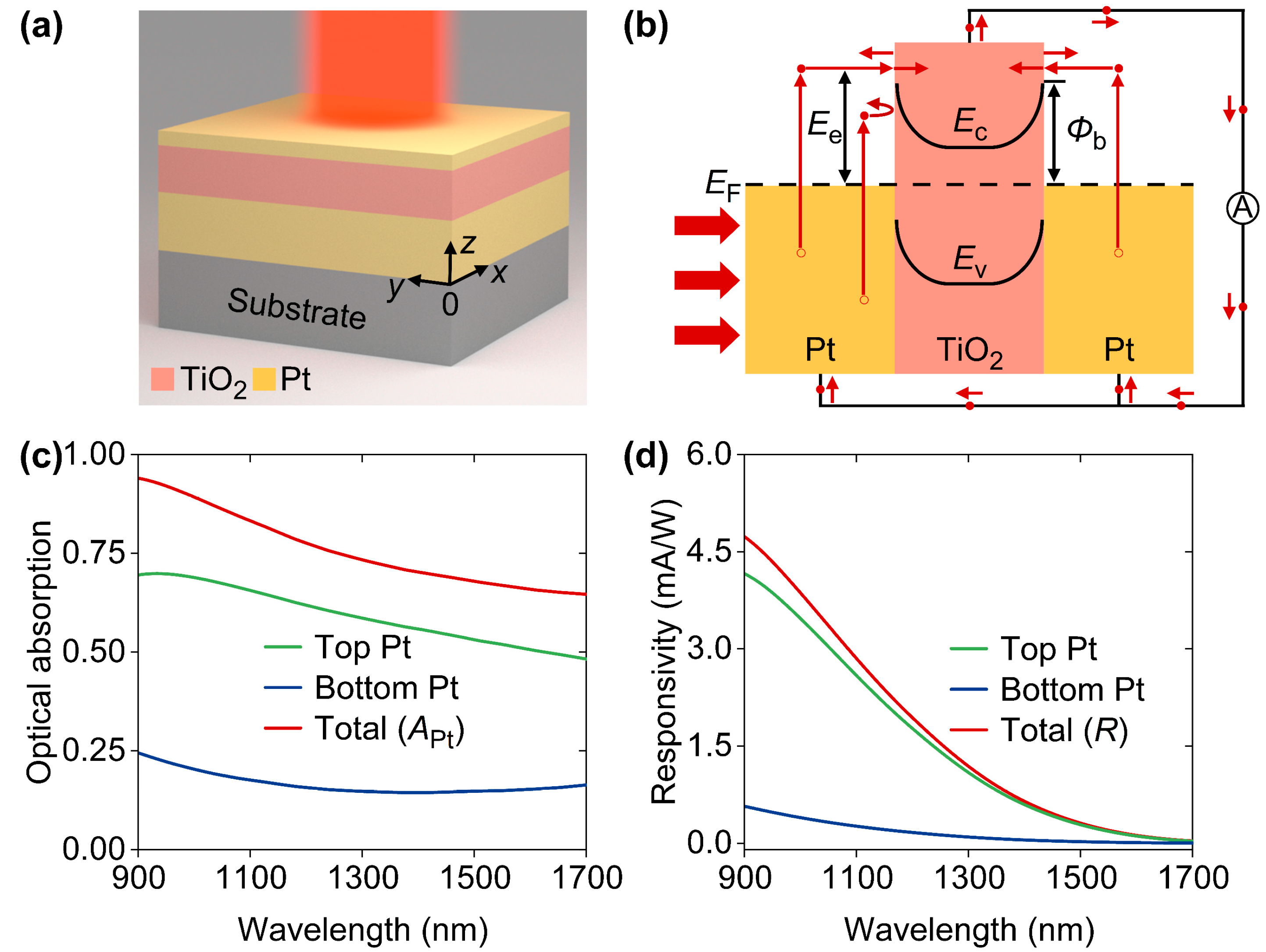 Nanomaterials 14 01552 g005