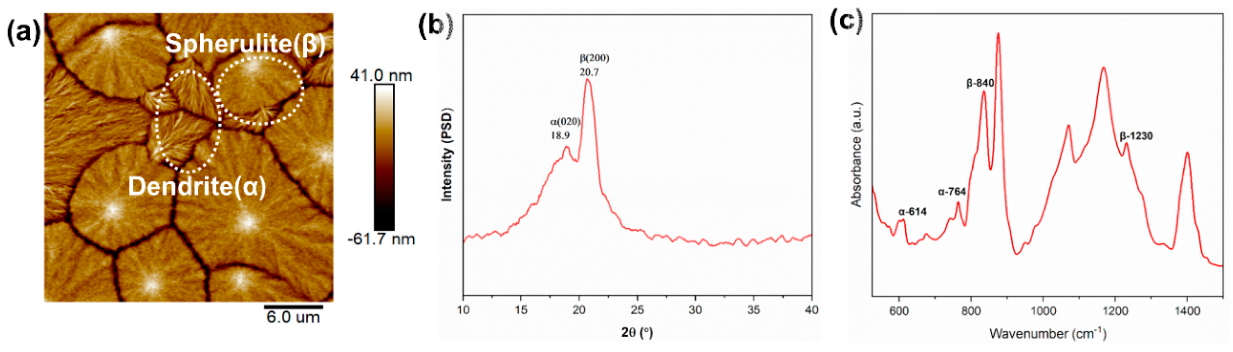 Nanomaterials 14 01555 g003