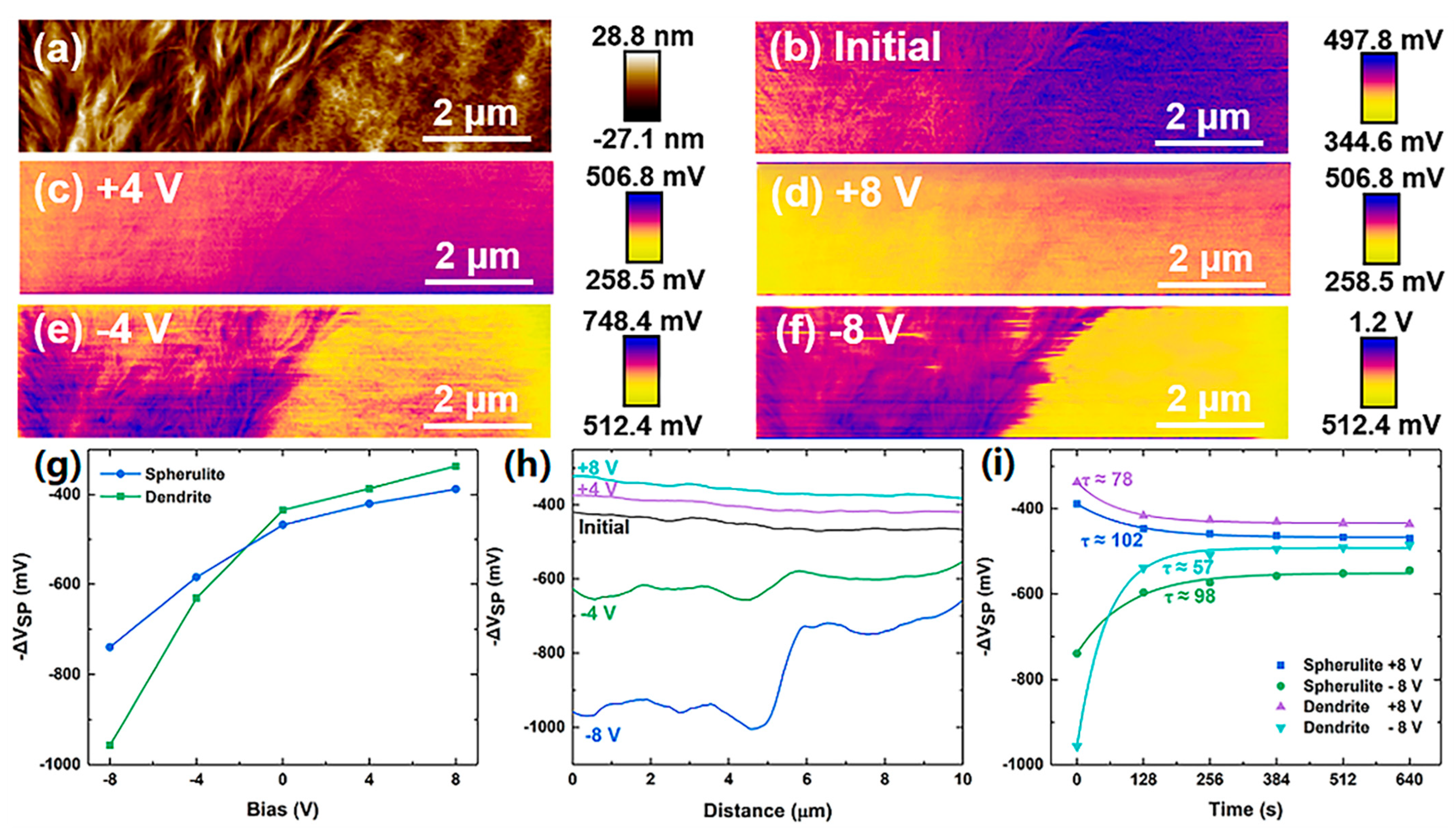 Nanomaterials 14 01555 g004