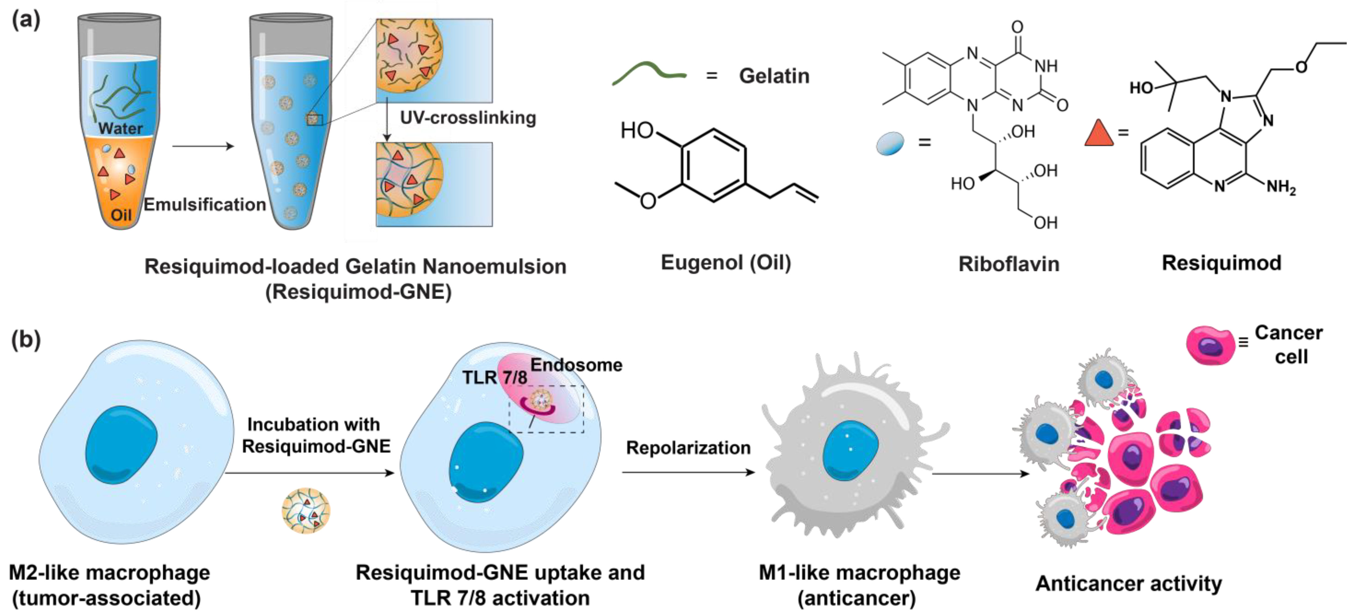 Nanomaterials 14 01556 g001