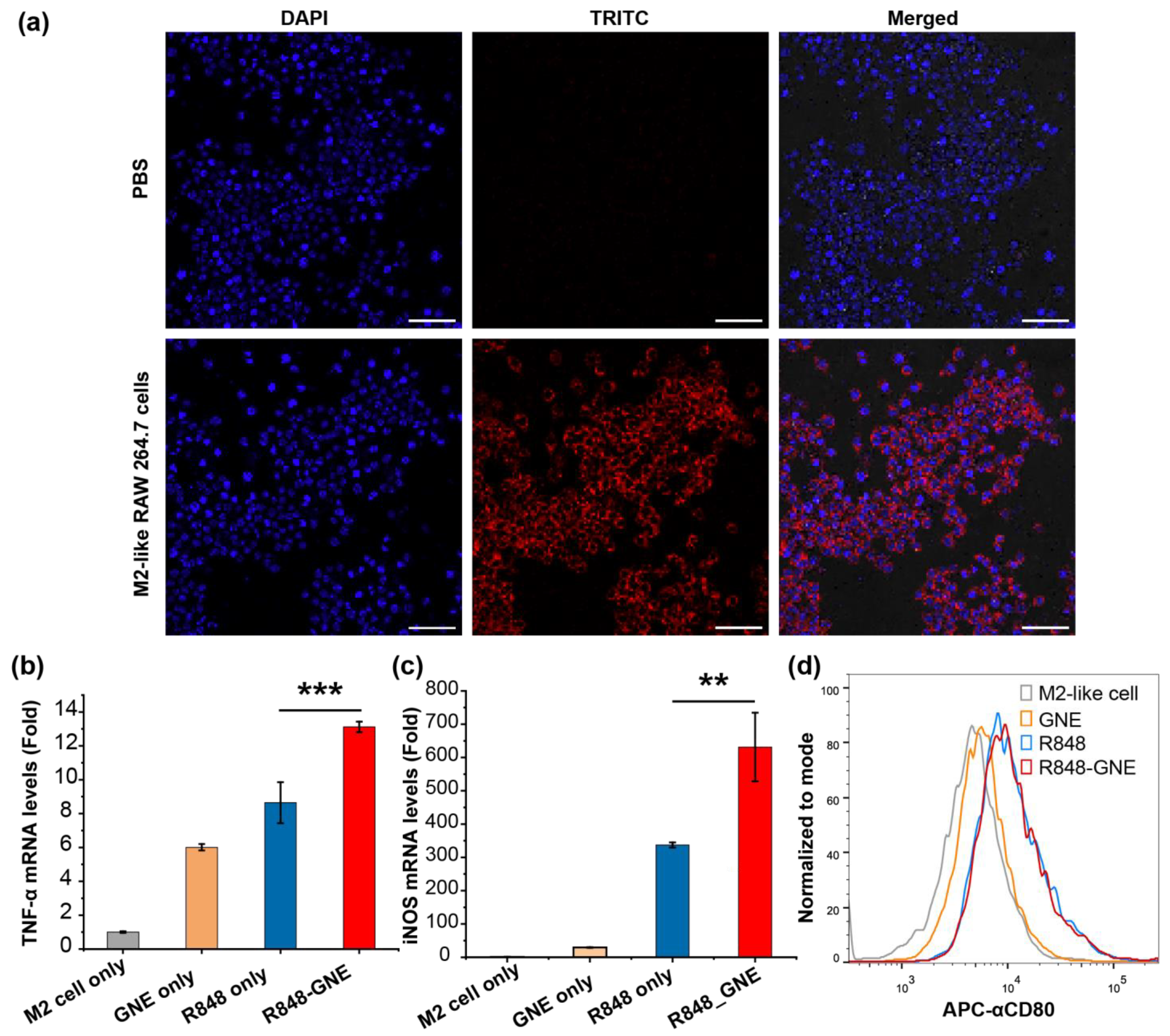 Nanomaterials 14 01556 g003