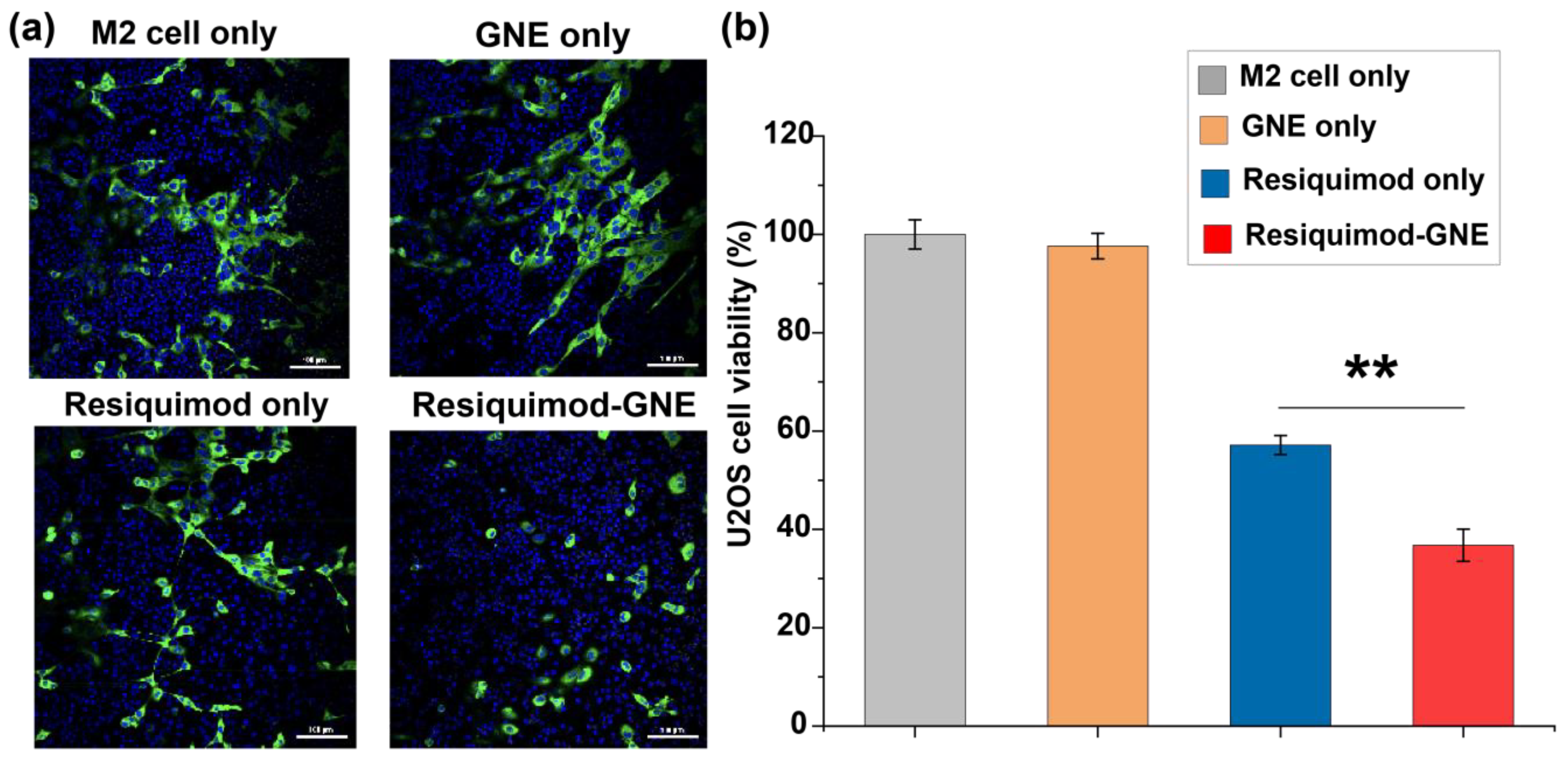 Nanomaterials 14 01556 g004