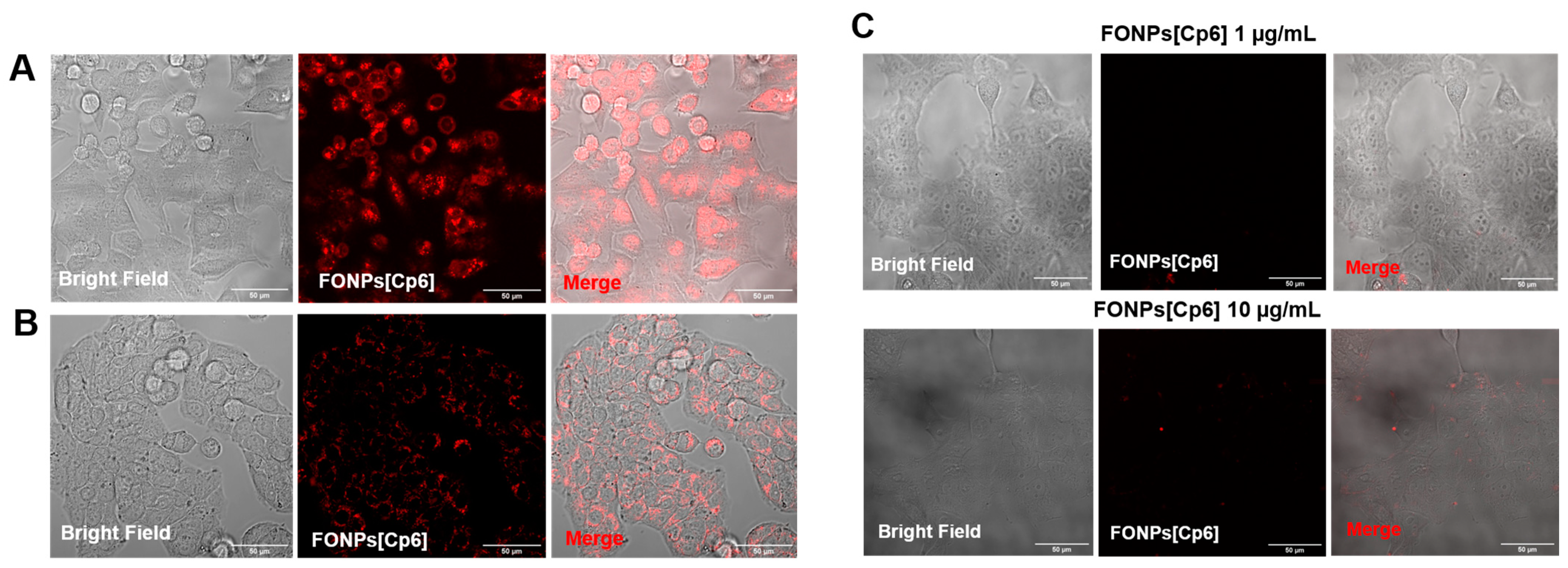 Nanomaterials 14 01557 g002 Nanomaterials 14 01557 g002