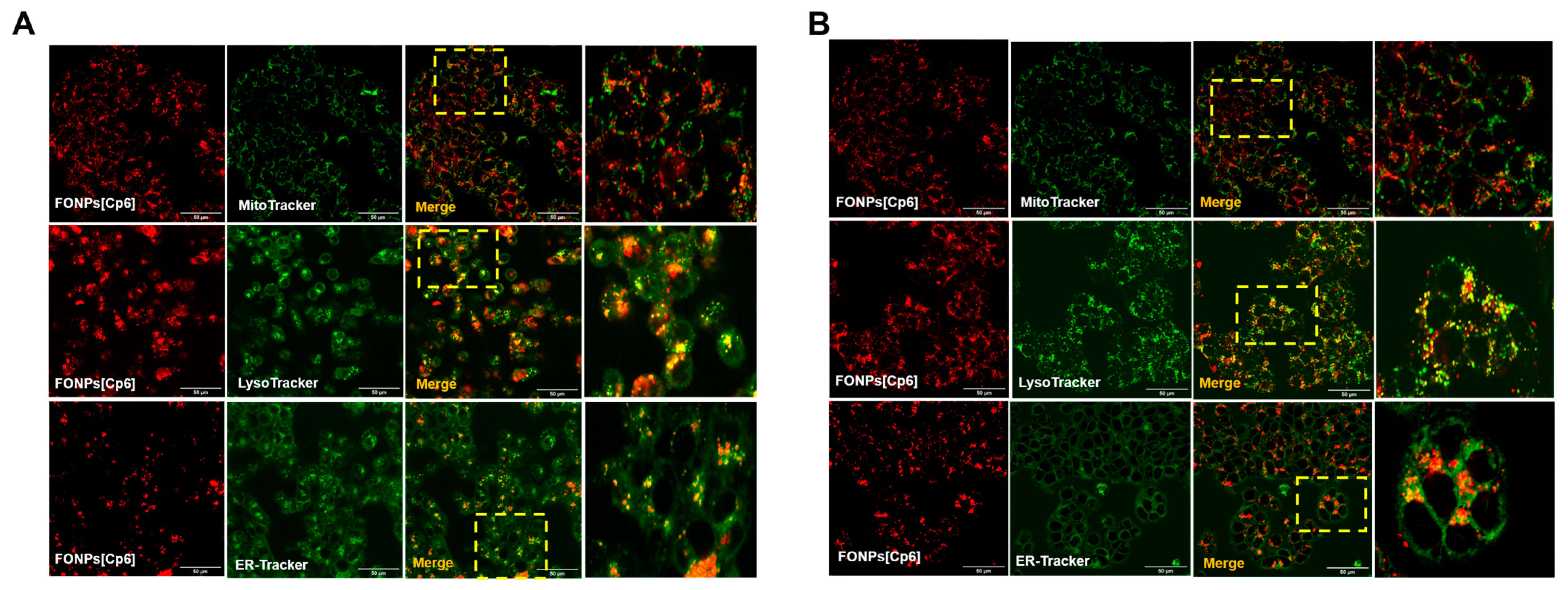 Nanomaterials 14 01557 g003 Nanomaterials 14 01557 g003