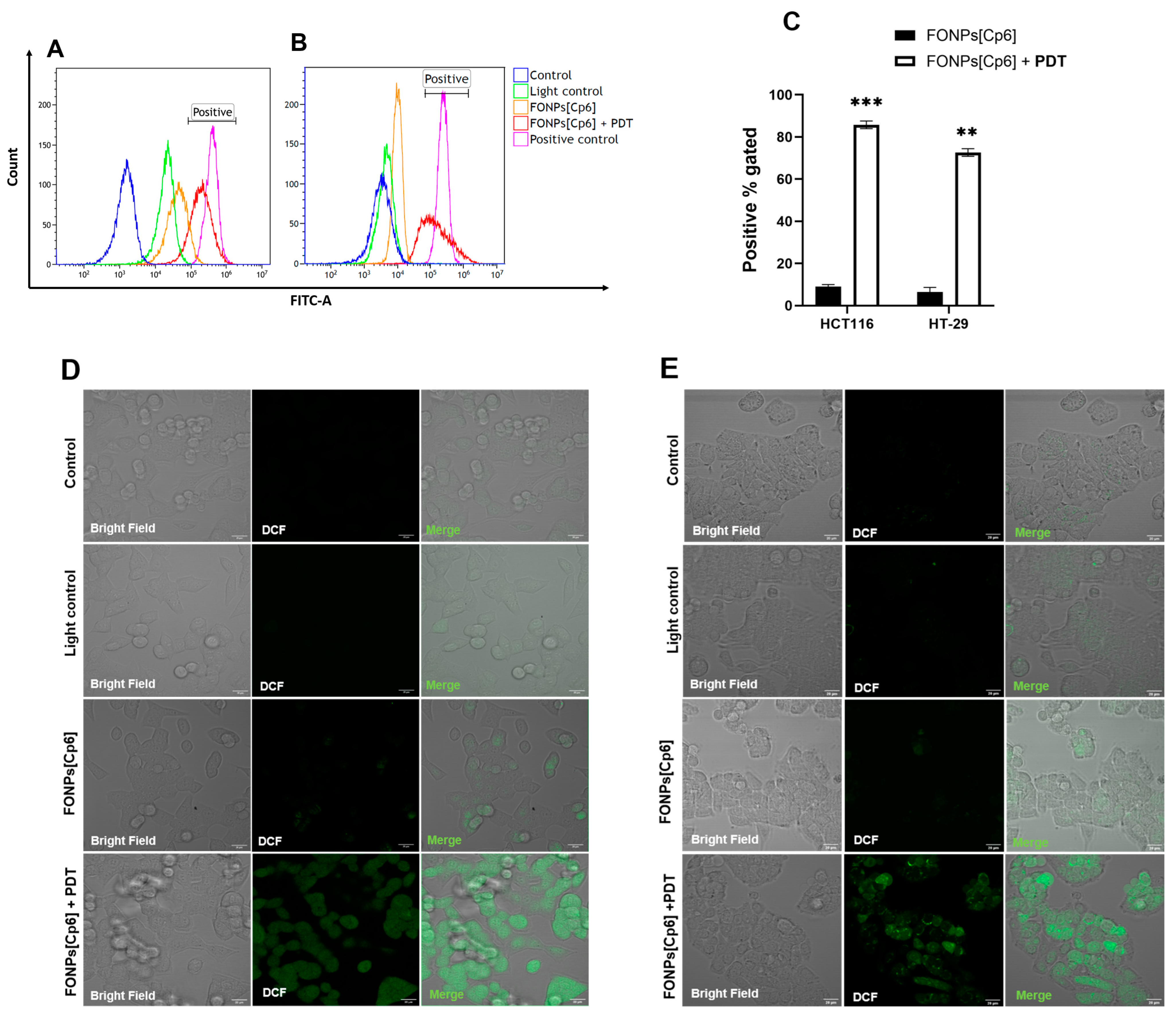Nanomaterials 14 01557 g004 Nanomaterials 14 01557 g004