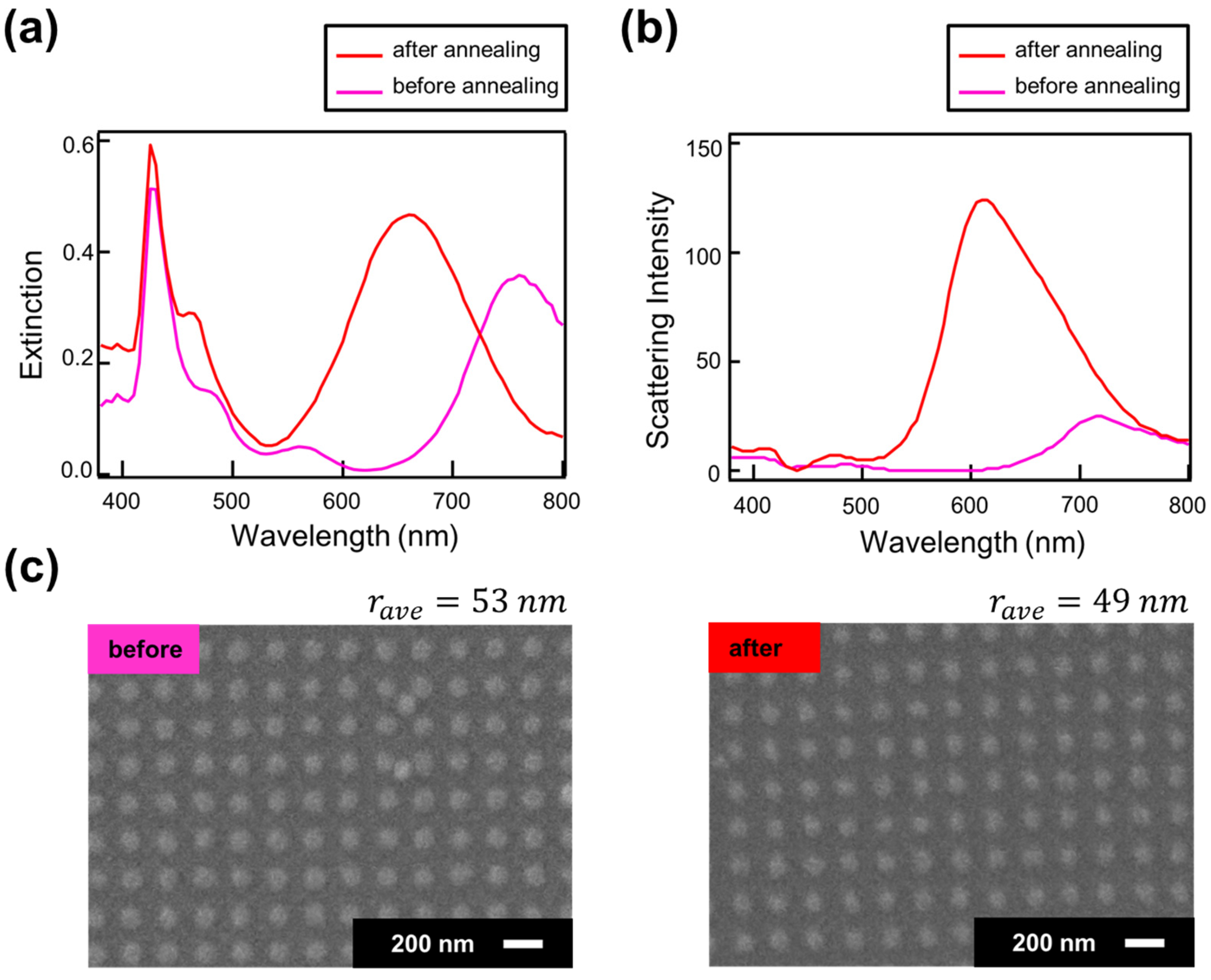 Nanomaterials 14 01559 g004