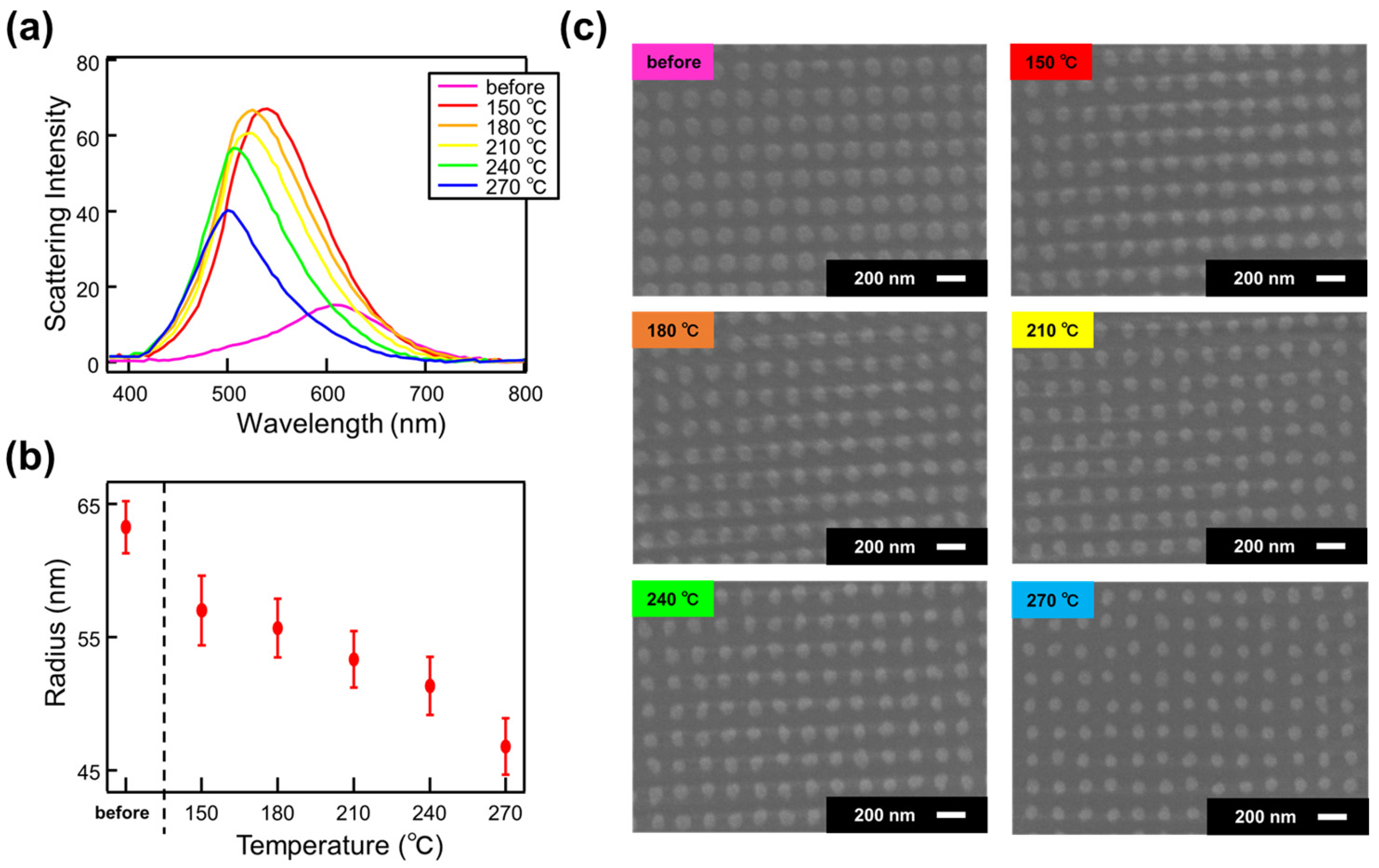 Nanomaterials 14 01559 g005