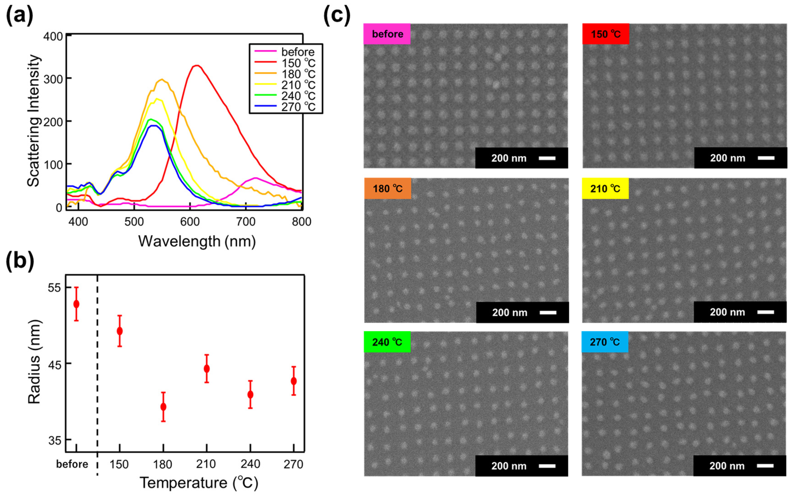 Nanomaterials 14 01559 g006